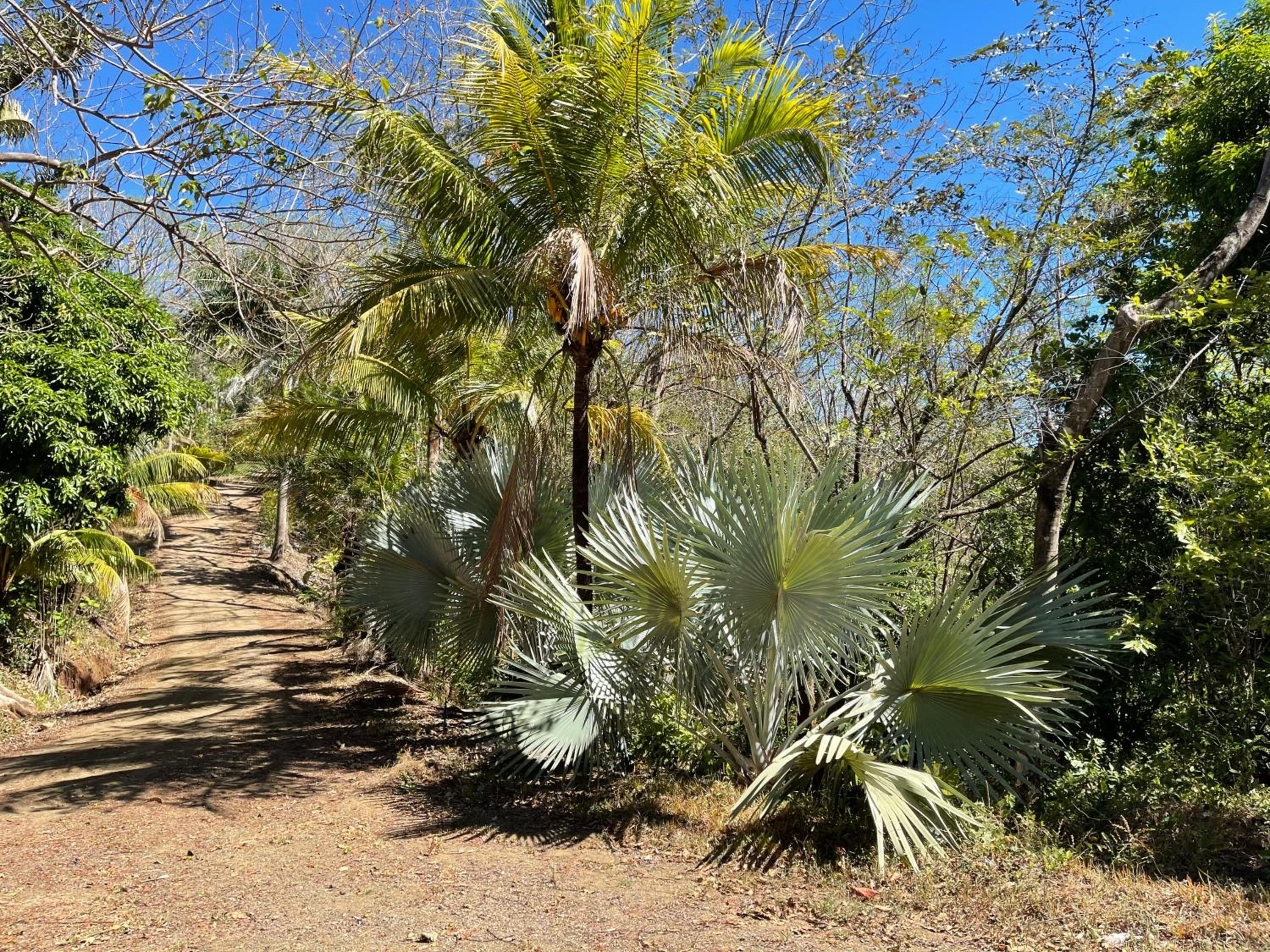 Photo 41