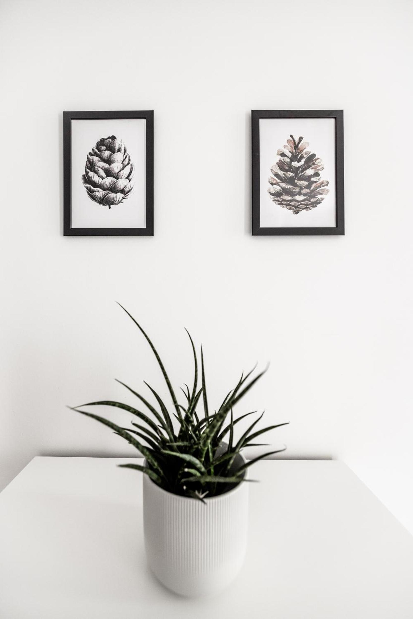 Quercus Appartements contactless check-in