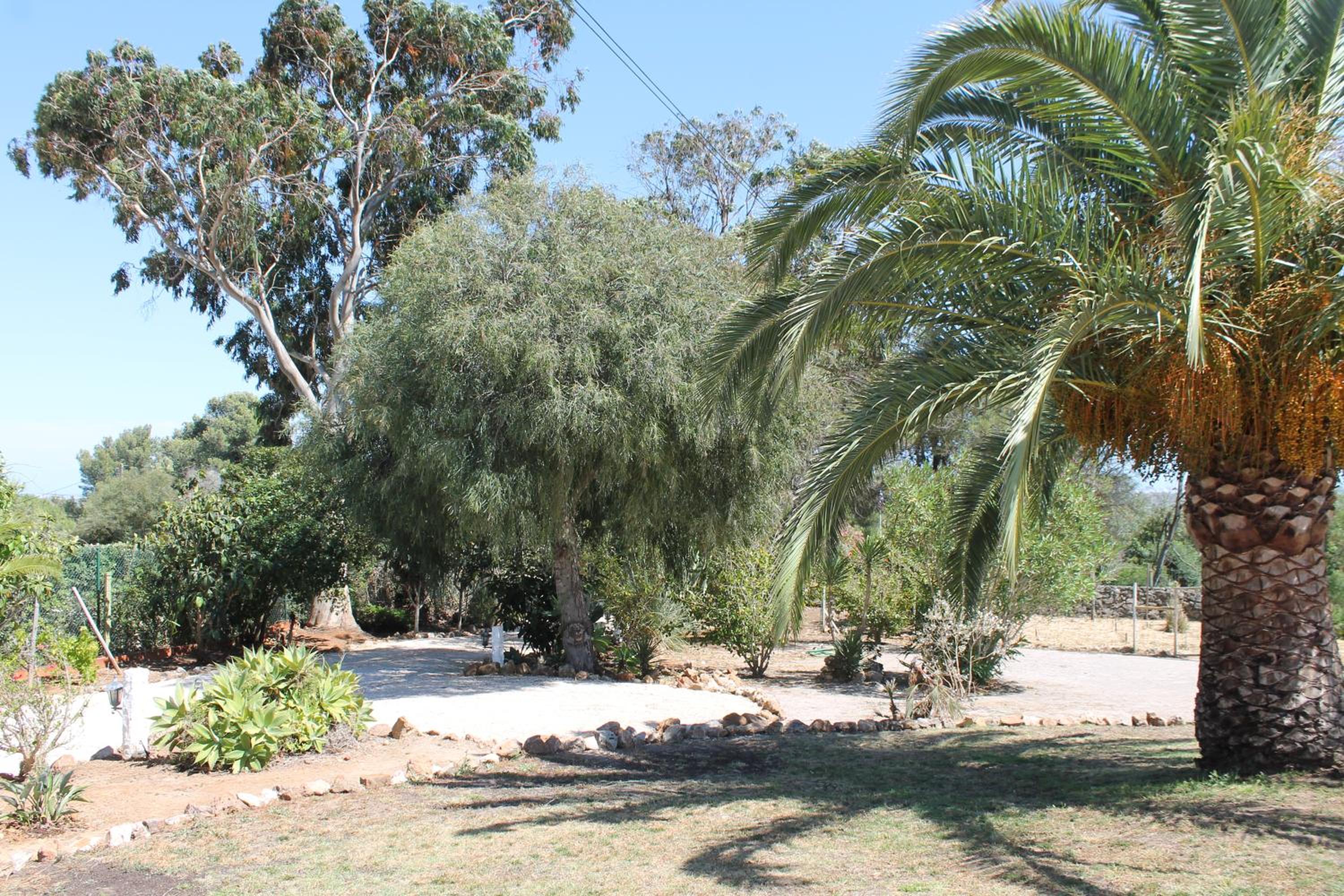 Photo 32