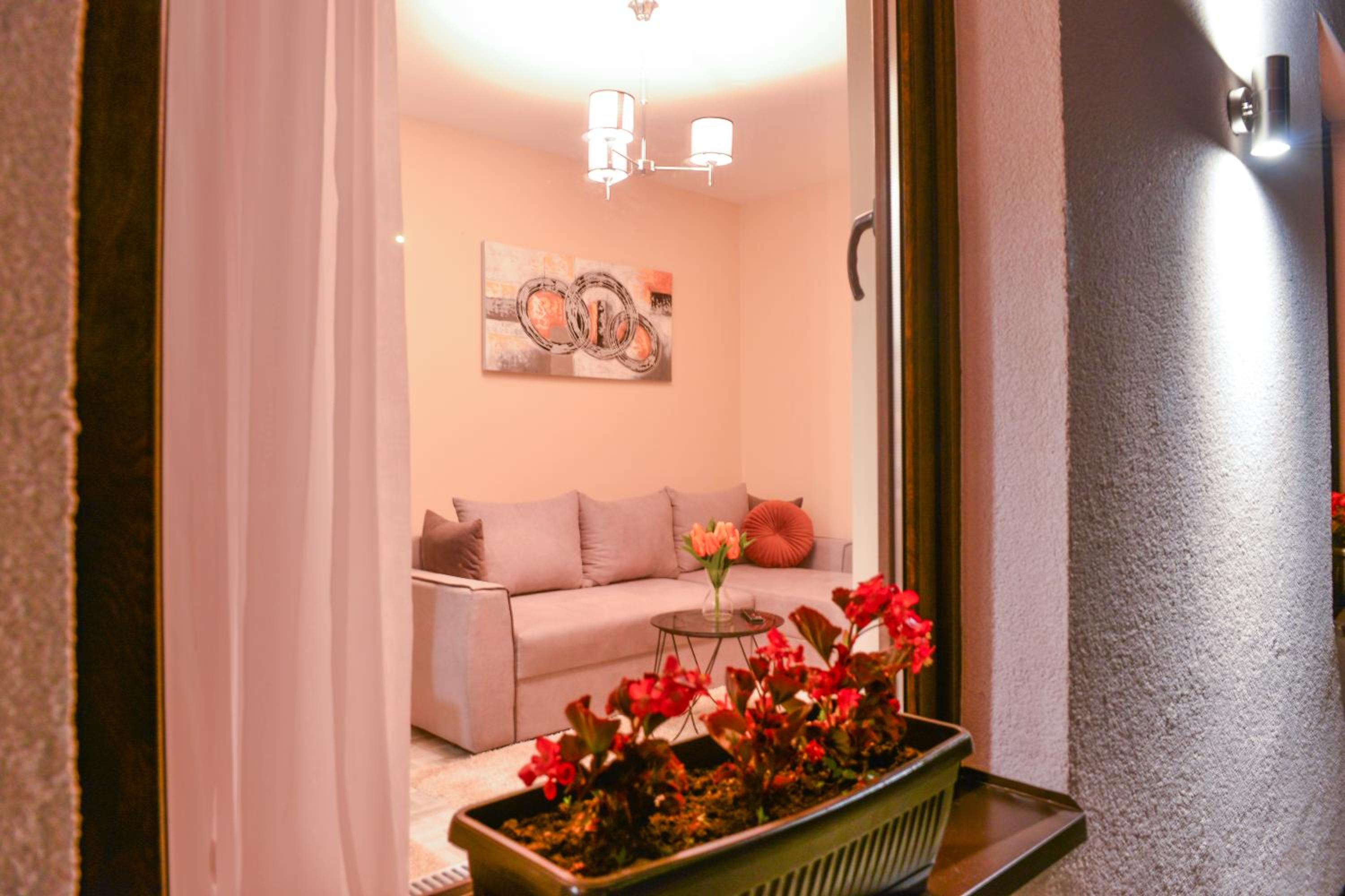 Apartman Savić view 5