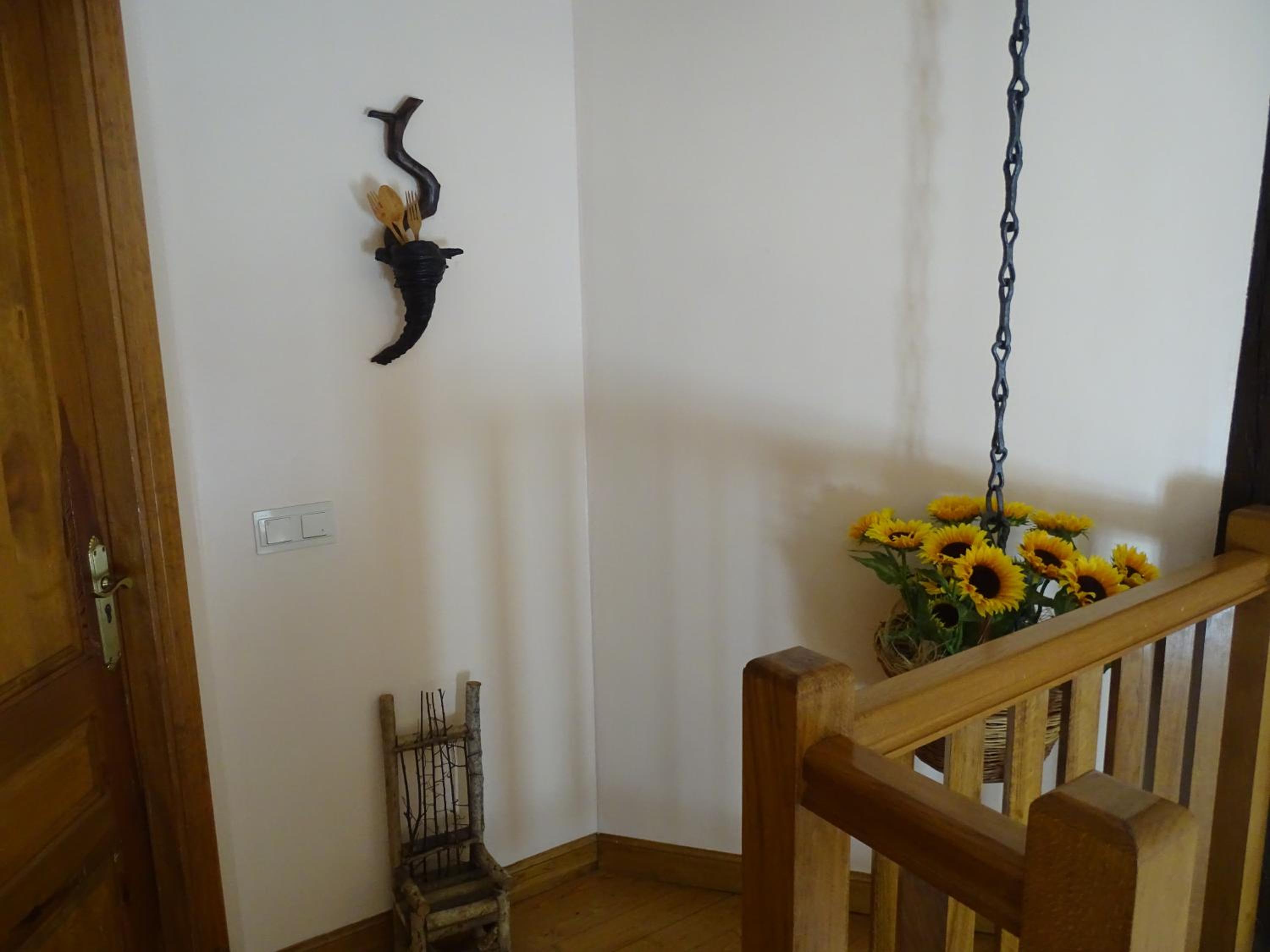 Photo 35