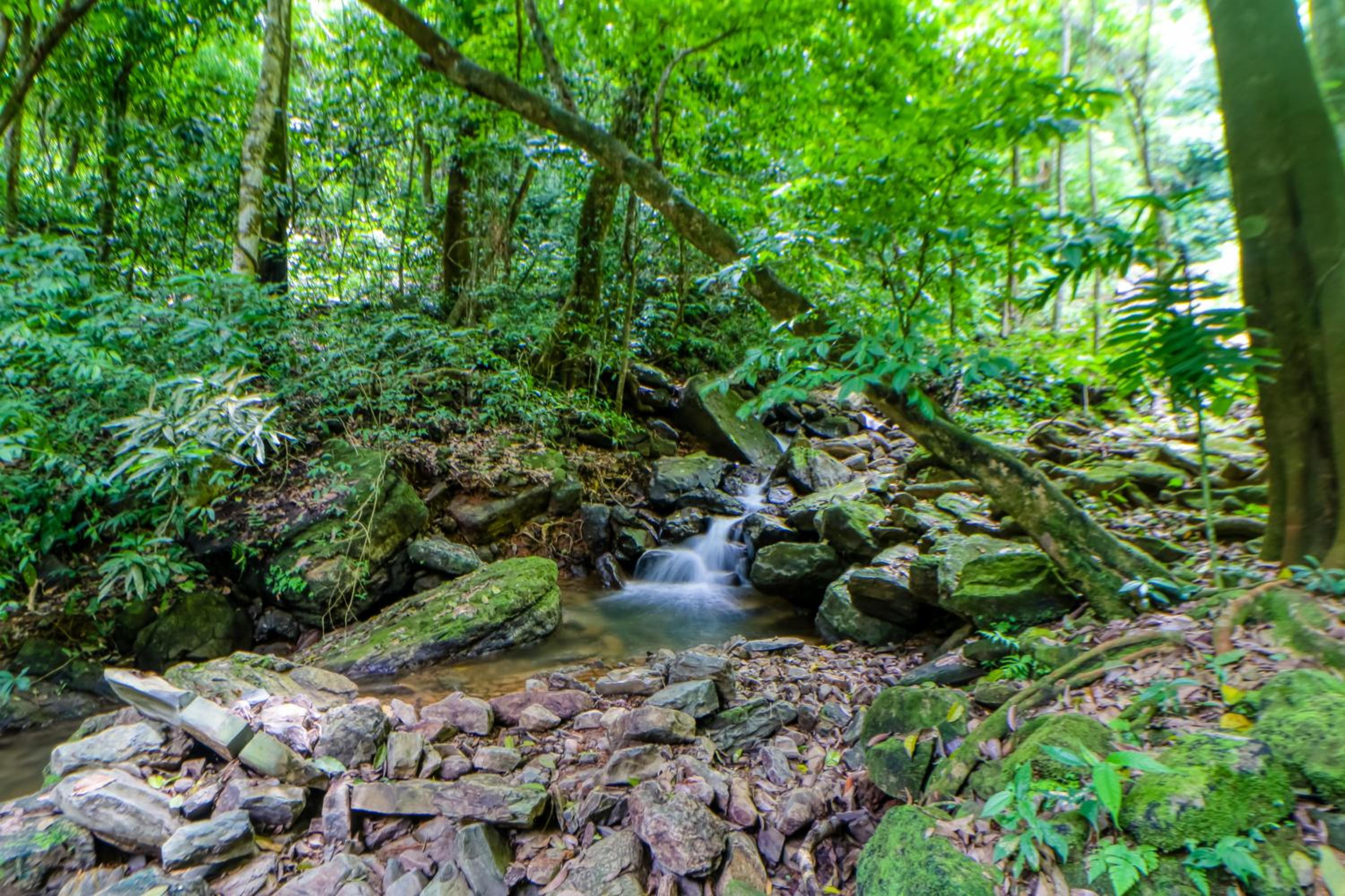 Casa La Cascada