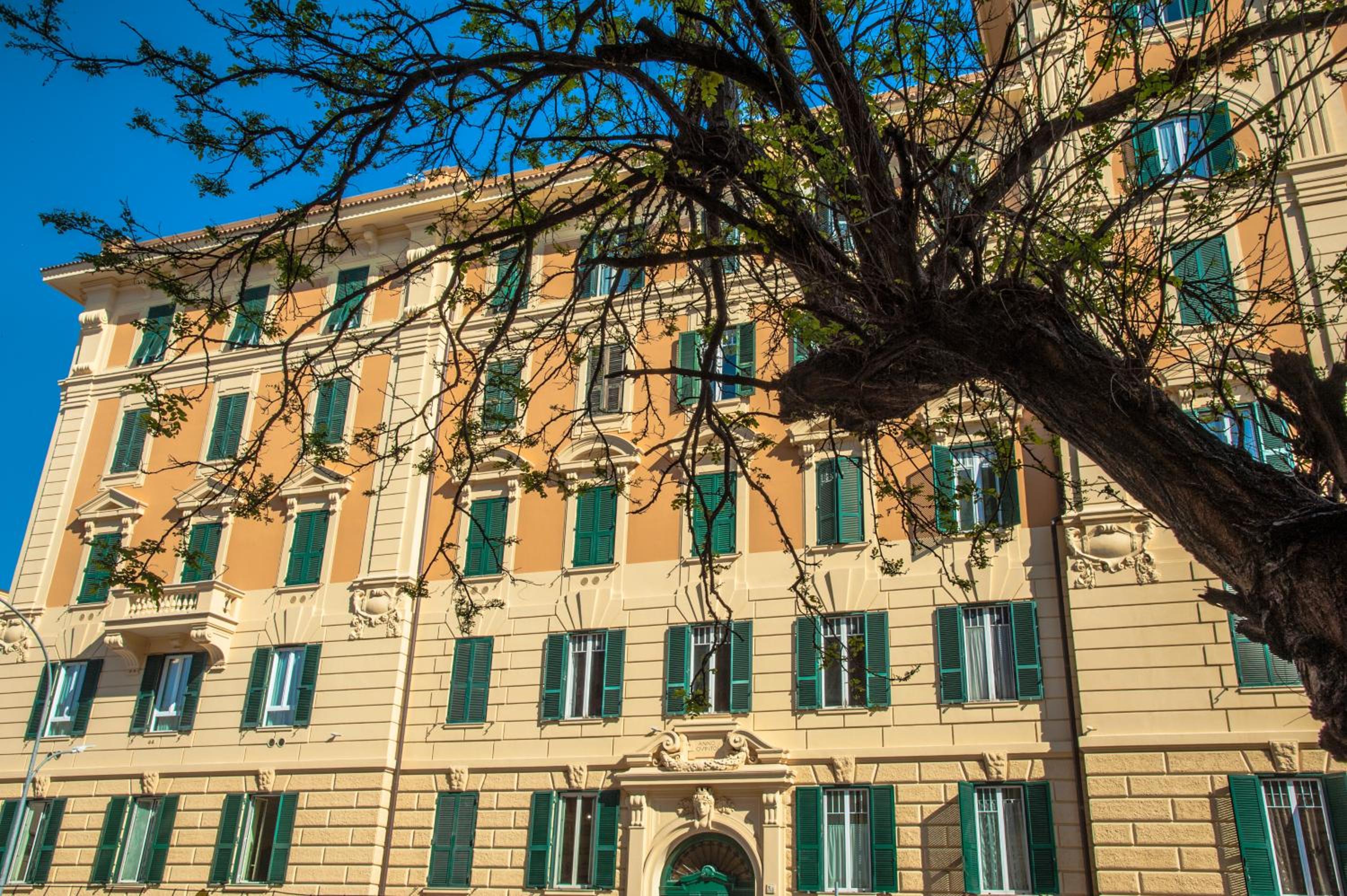 La Casa delle Tartarughe