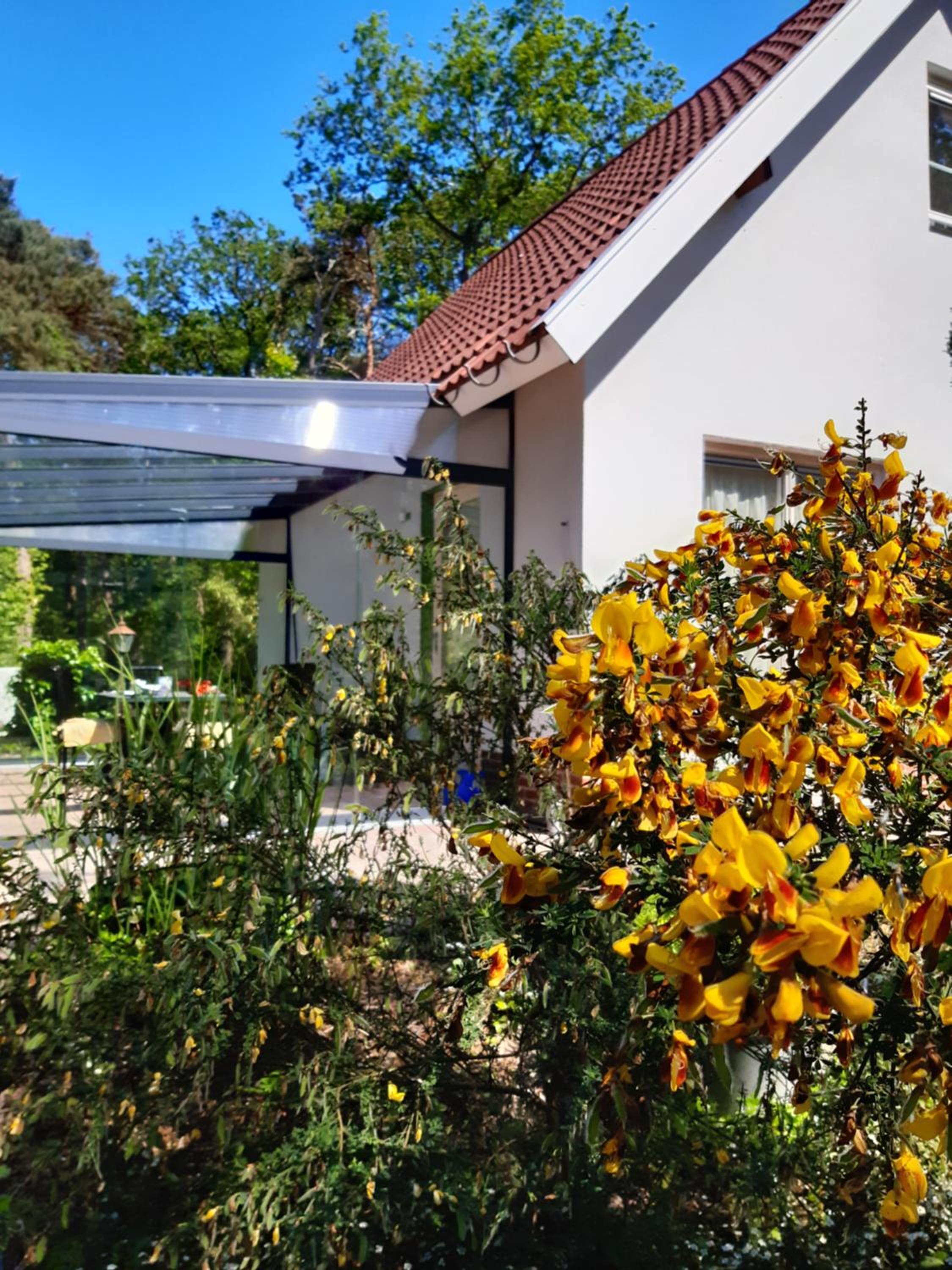 Vakantiewoning Zwaluw Beerze view 5