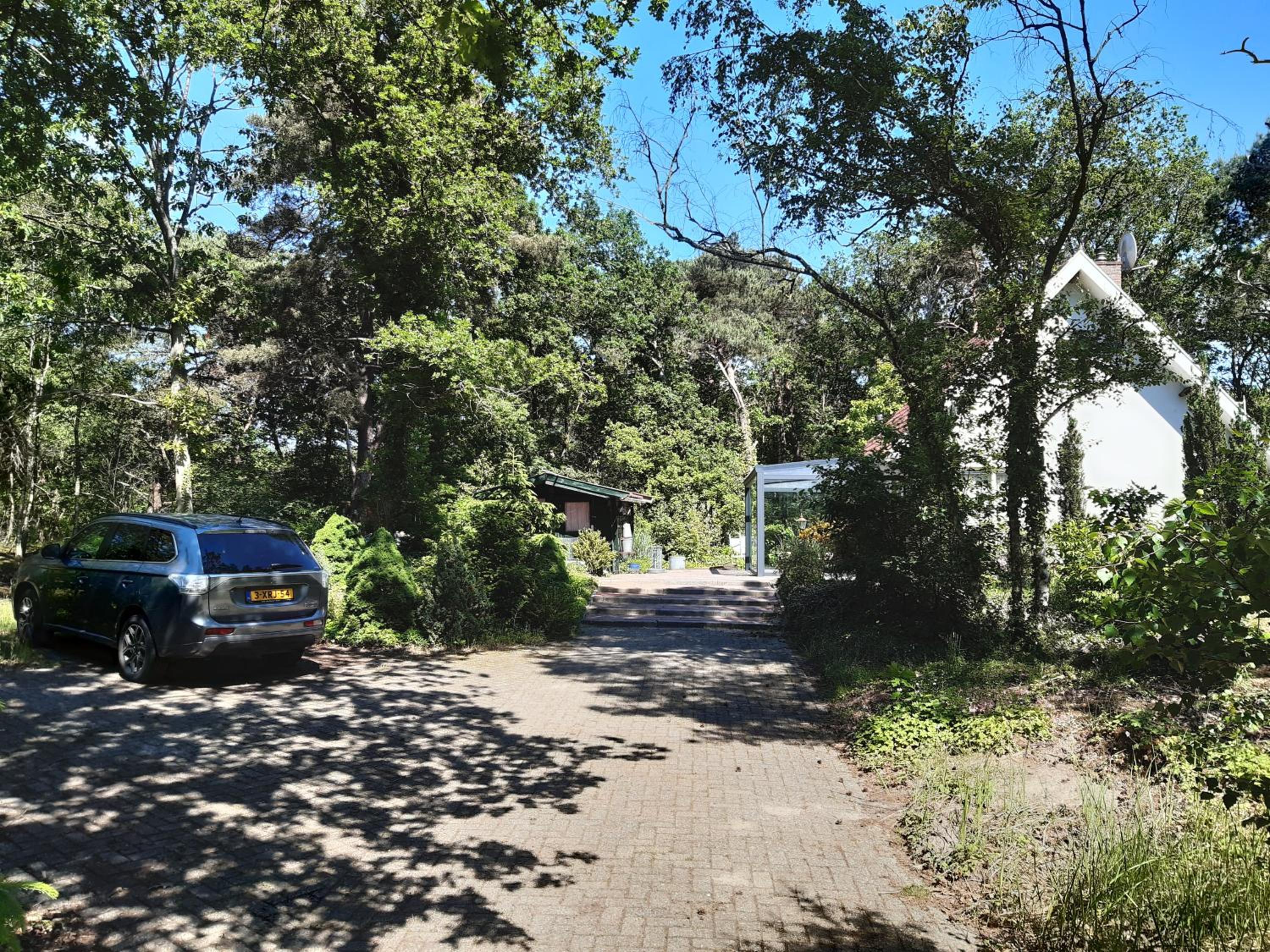 Photo 6