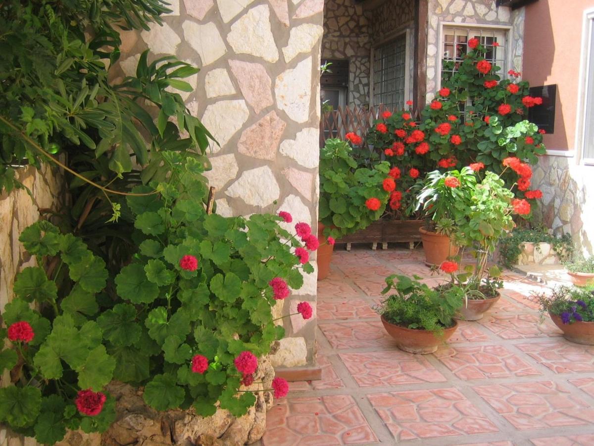 Photo 41