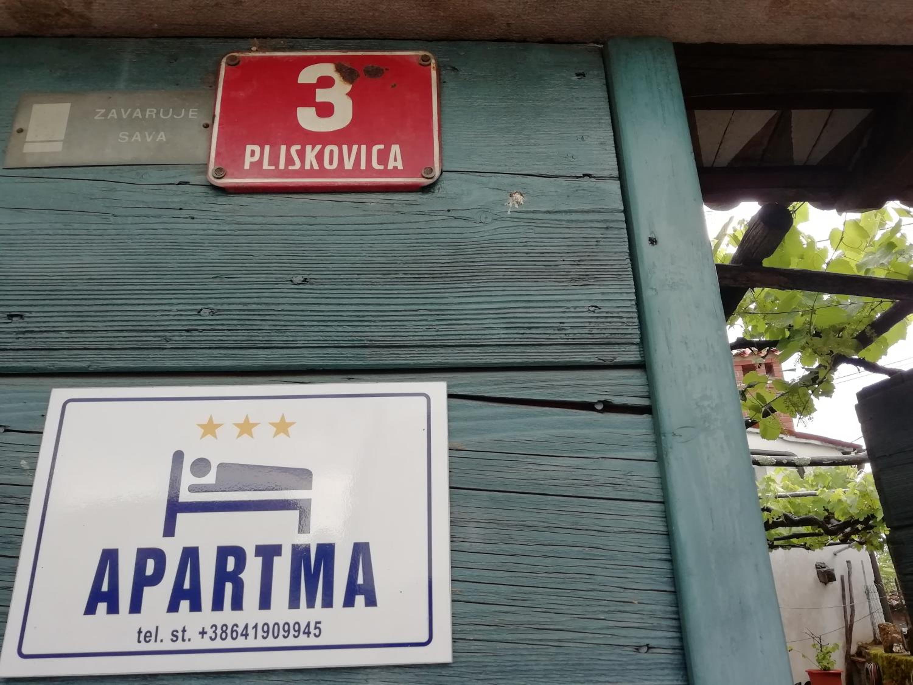 Apartma Hiša Pliska view 2
