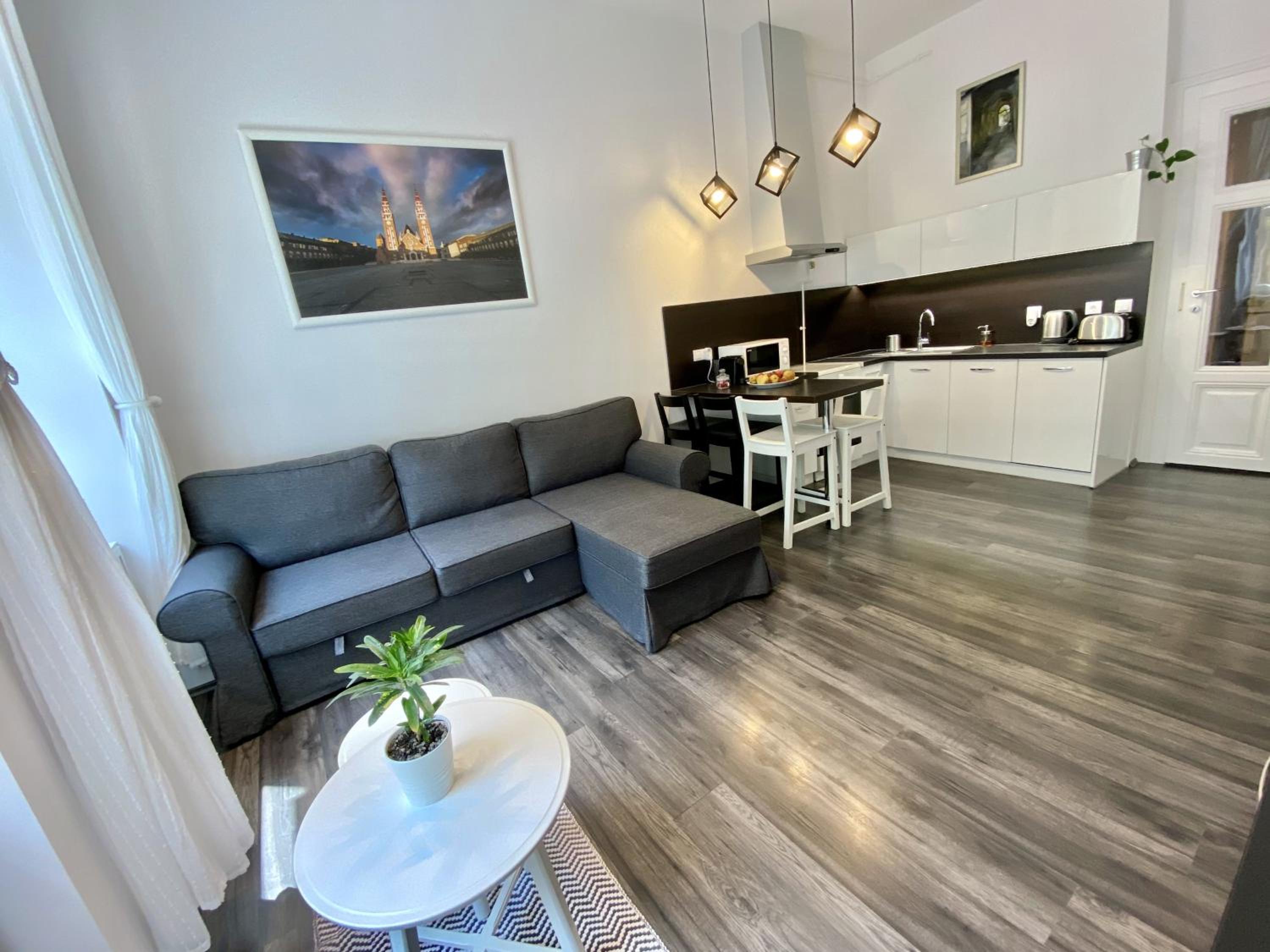 Art Apartment Szeged view 5