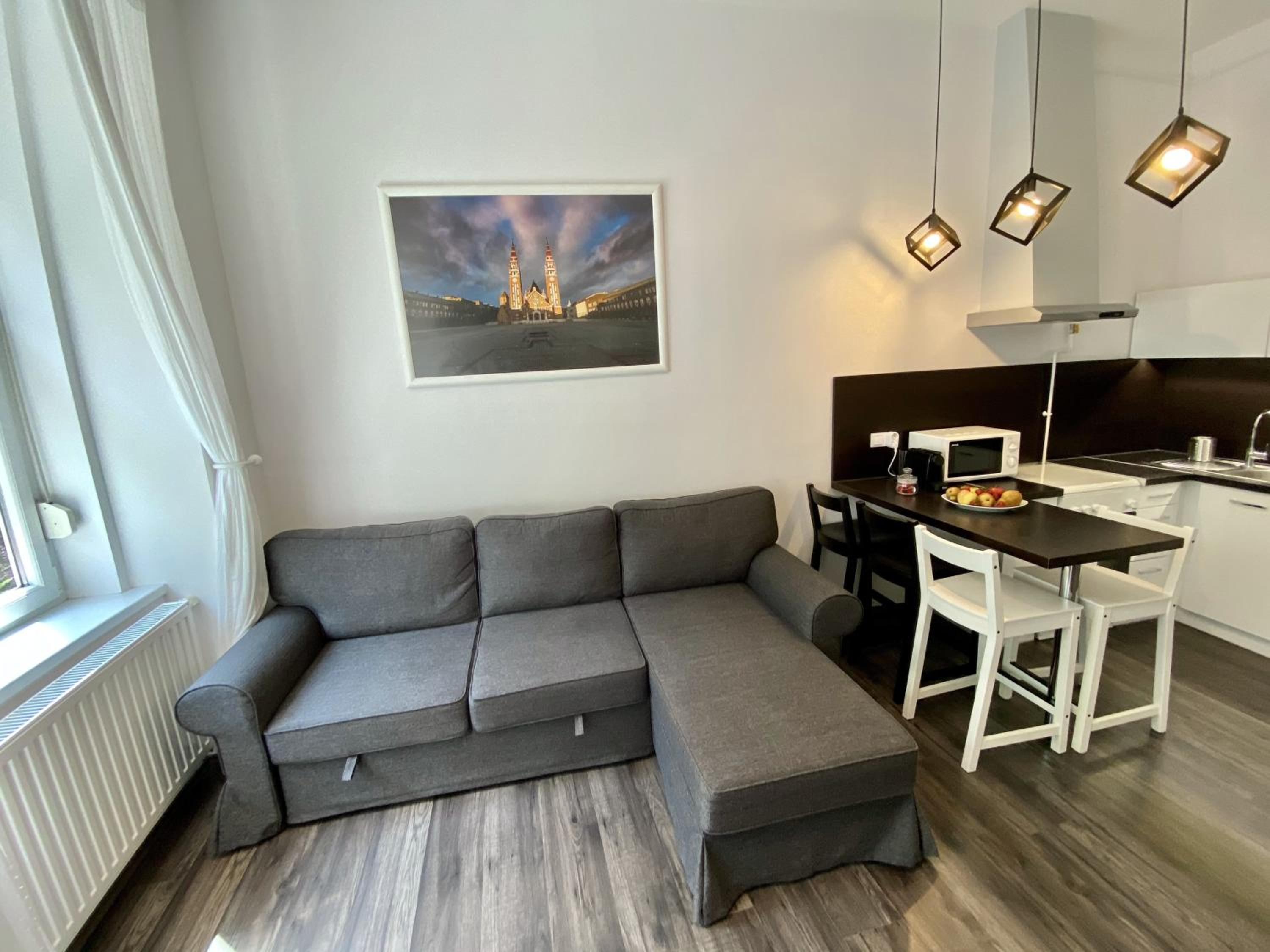 Art Apartment Szeged view 2