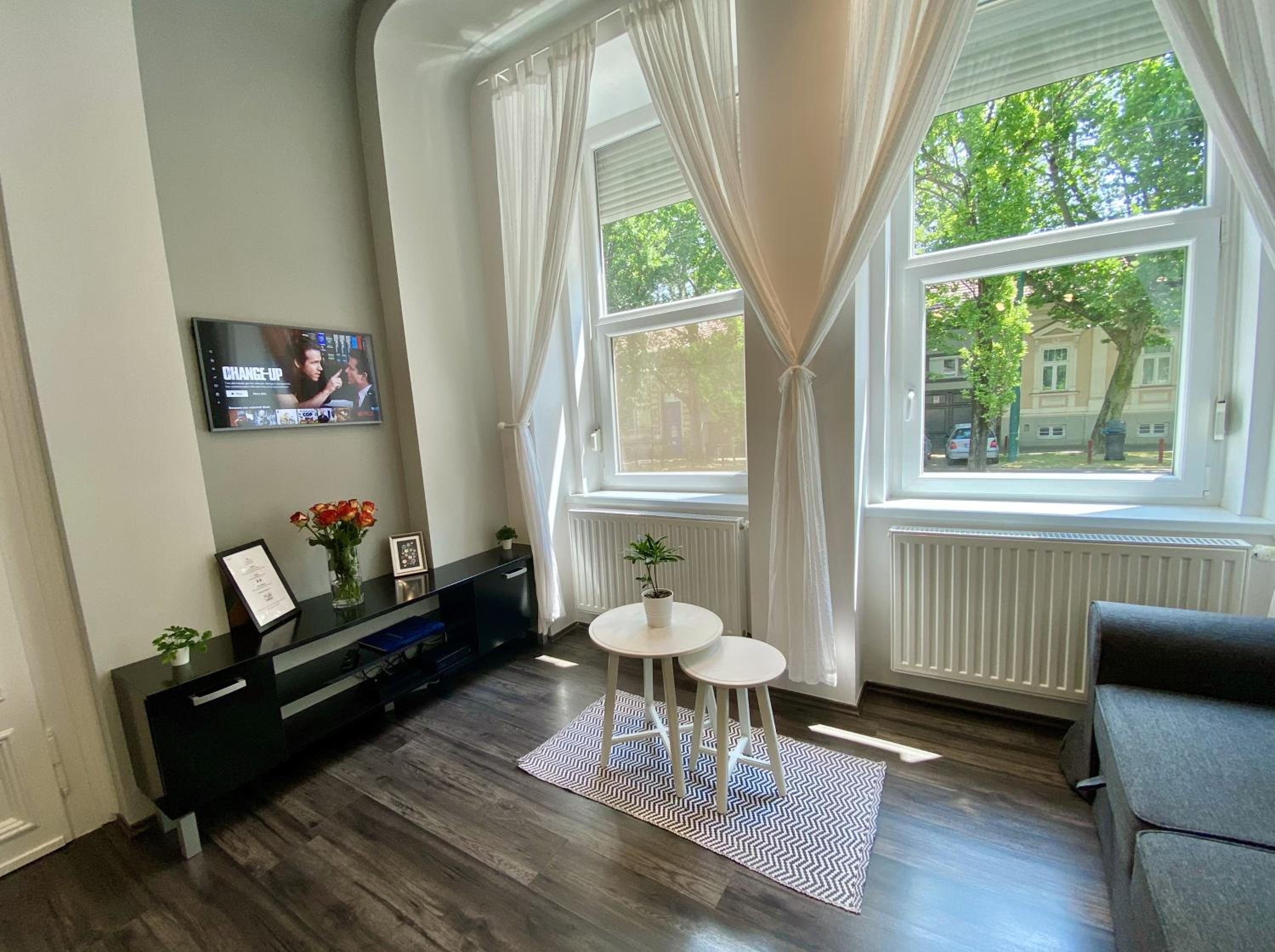 Art Apartment Szeged view 4