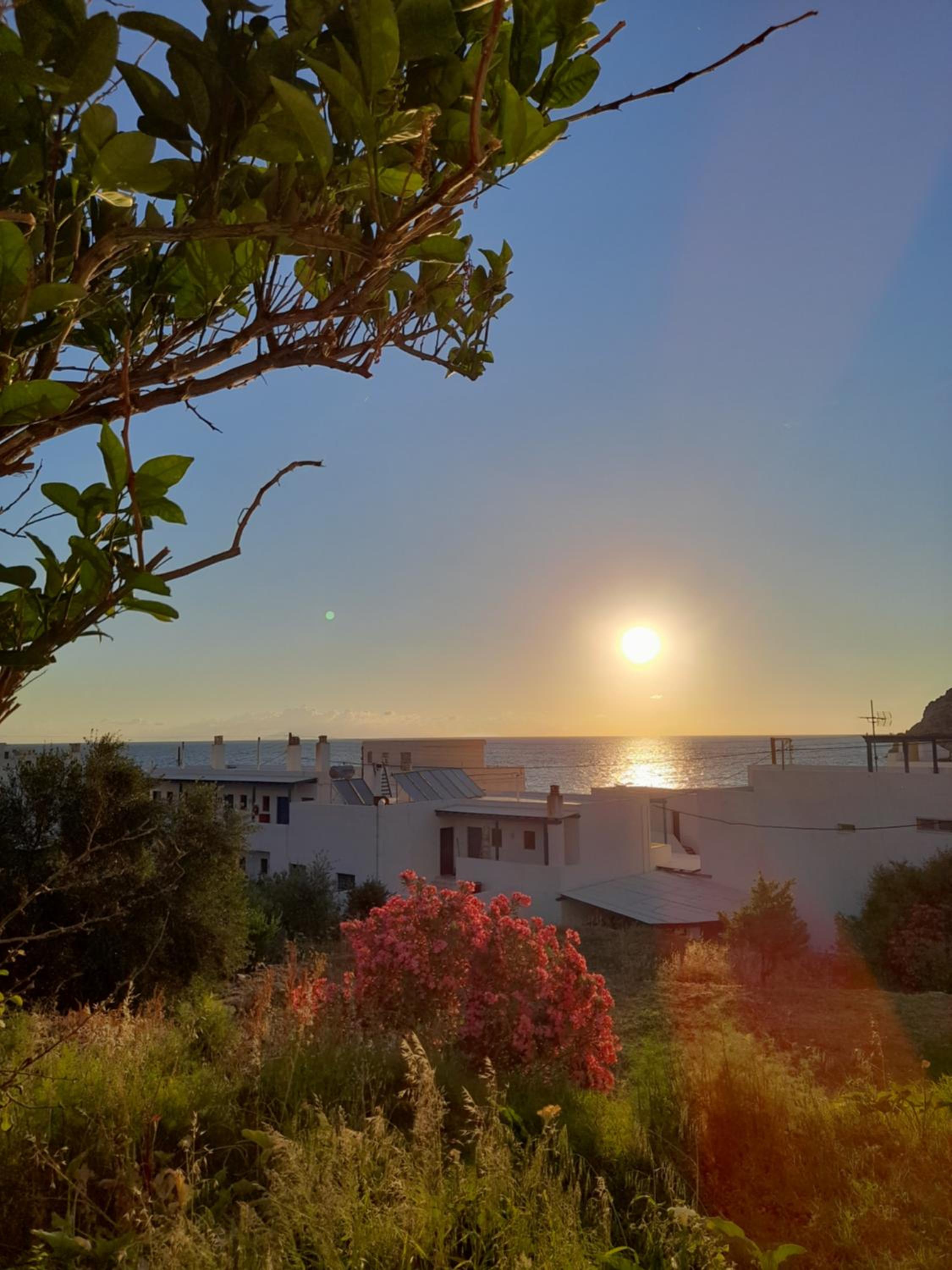 Hotel White House Apollon Naxos