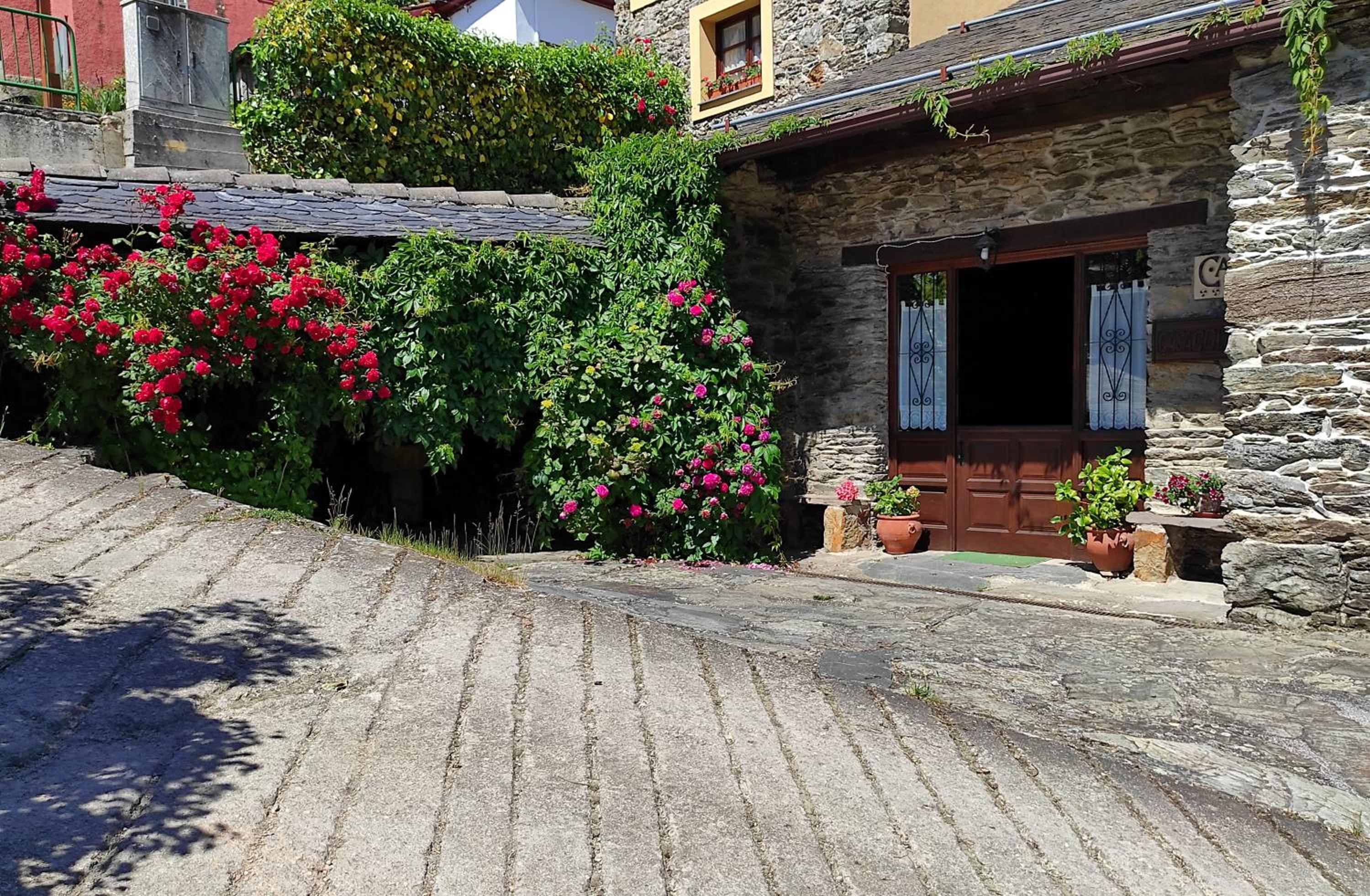 Casa Colason
