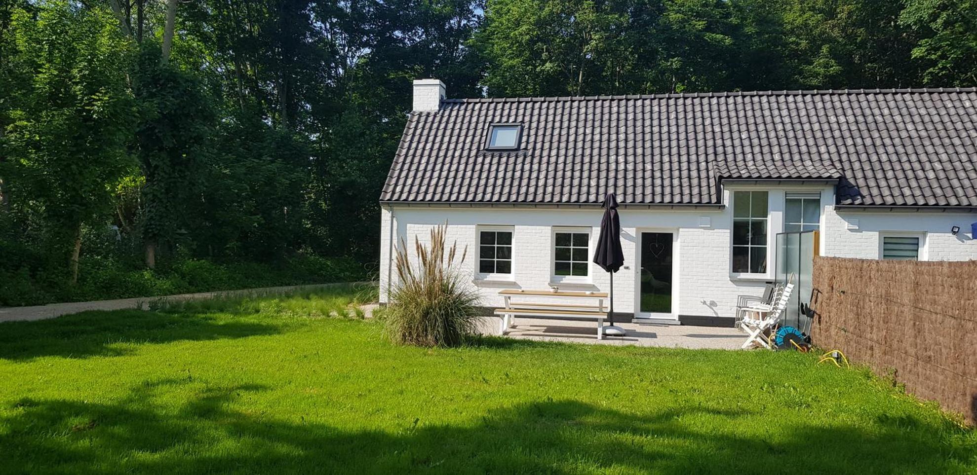 Houtsaegertje
