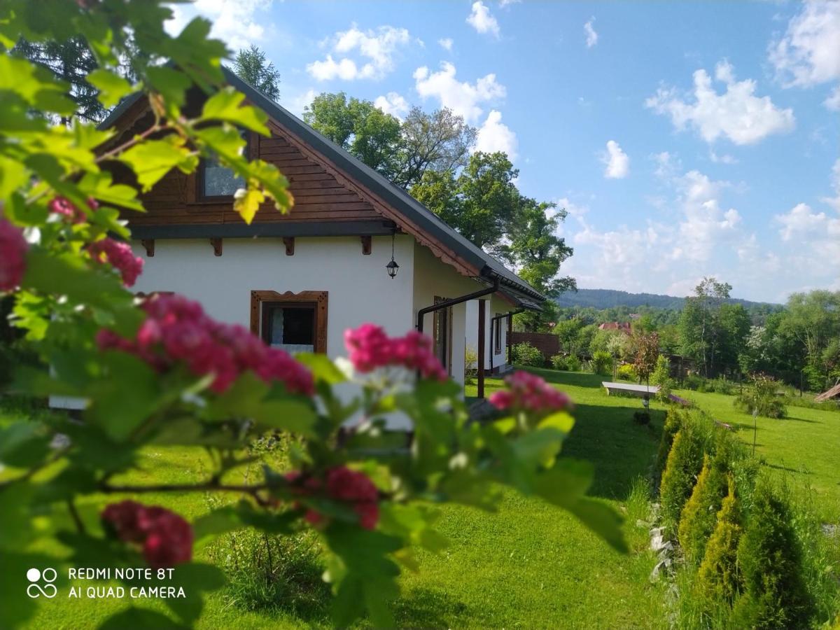 Na Szlaku - domki do wynajęcia view 5