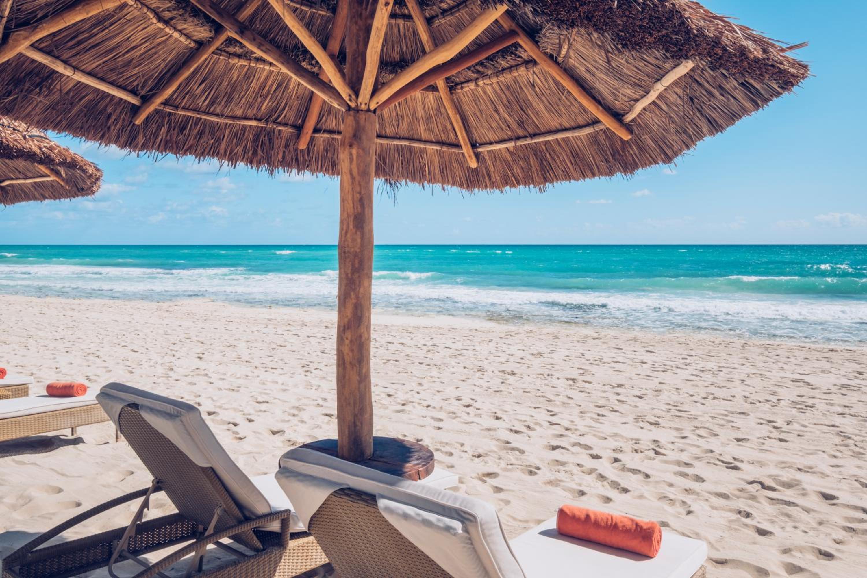 JOIA Paraiso by Iberostar - Adults Only All Inclusive Resort - image 5