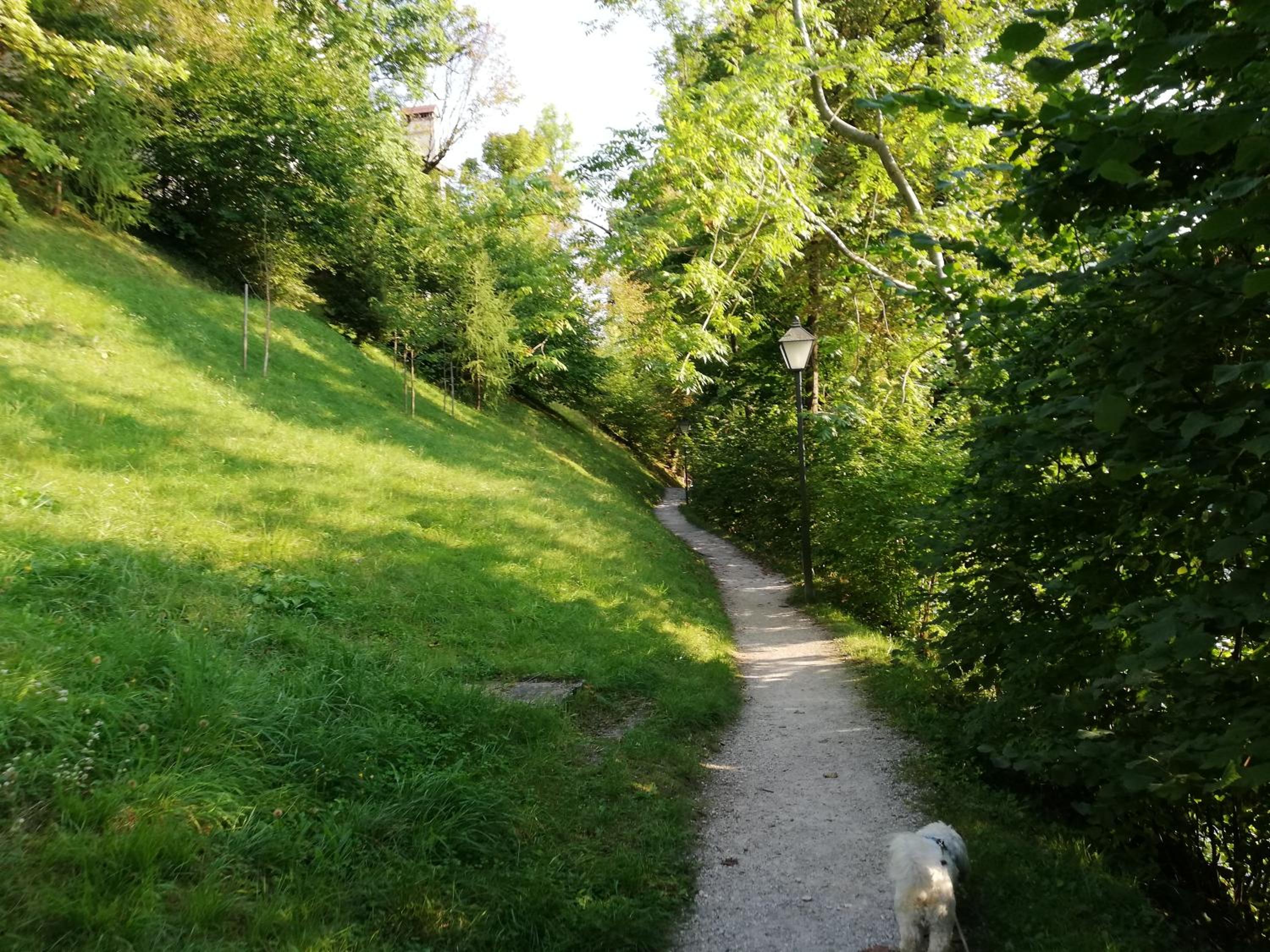 Photo 31