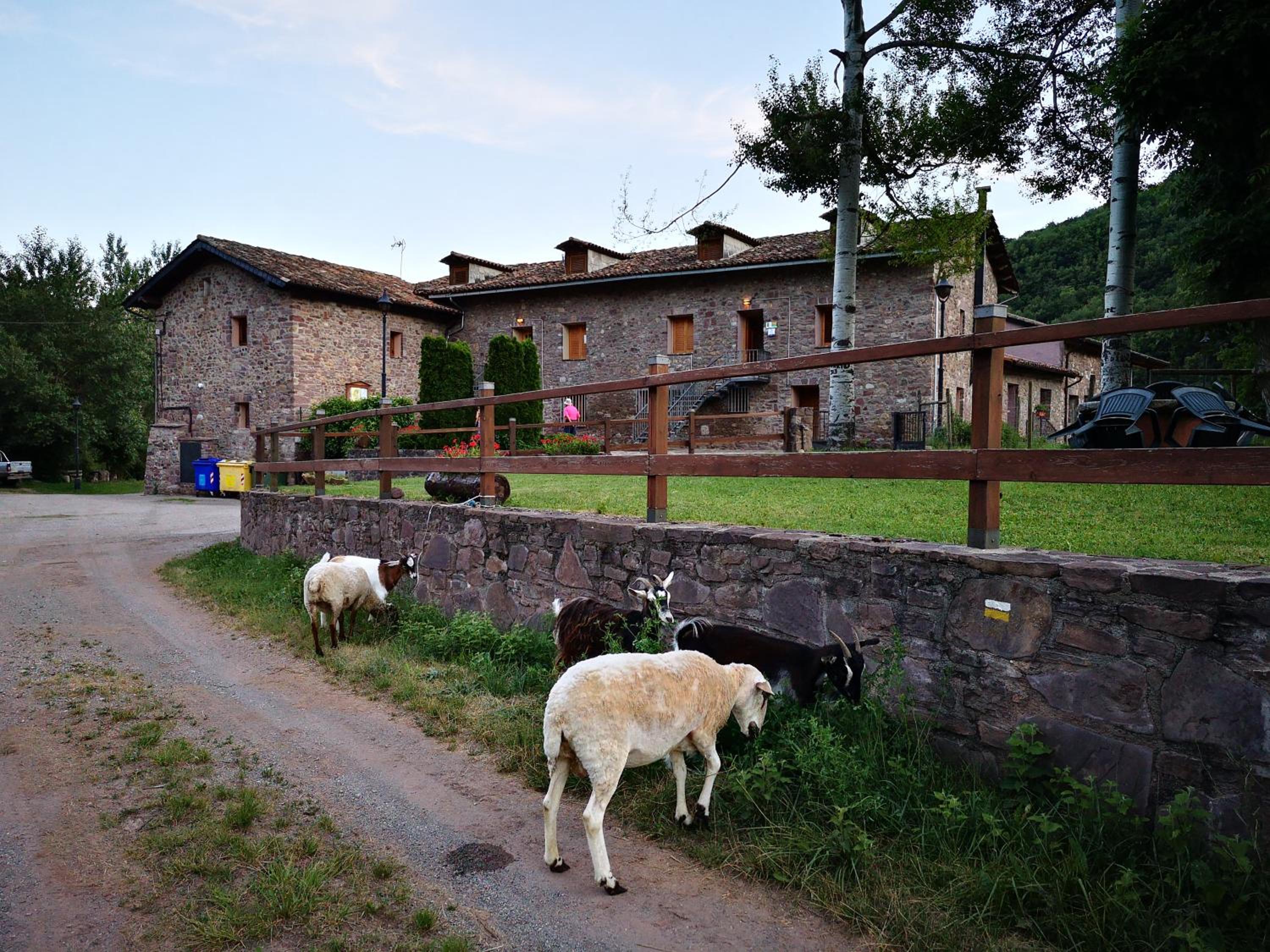 Casa rural Quintana - Montanuy view 3