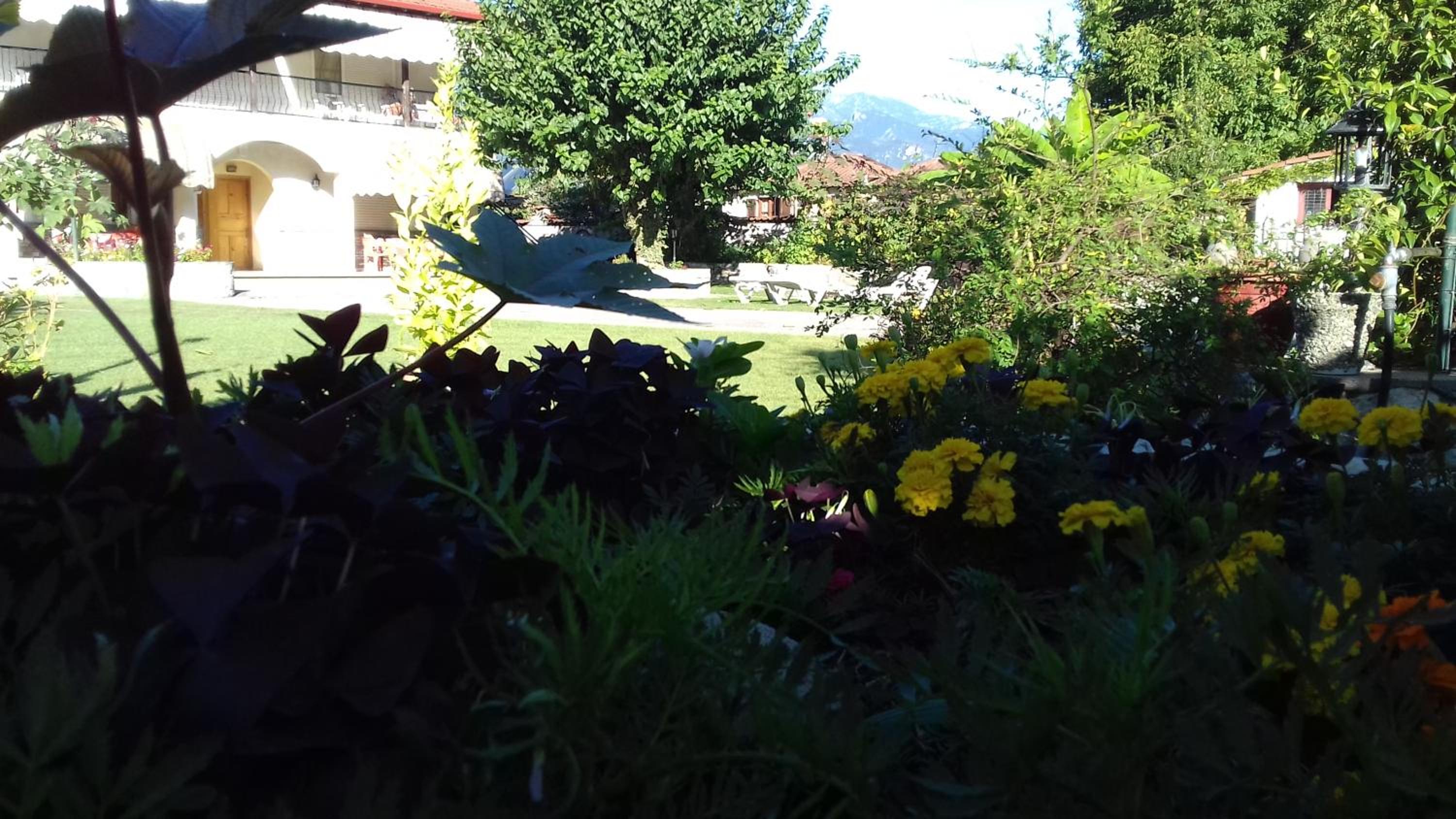 Photo 43