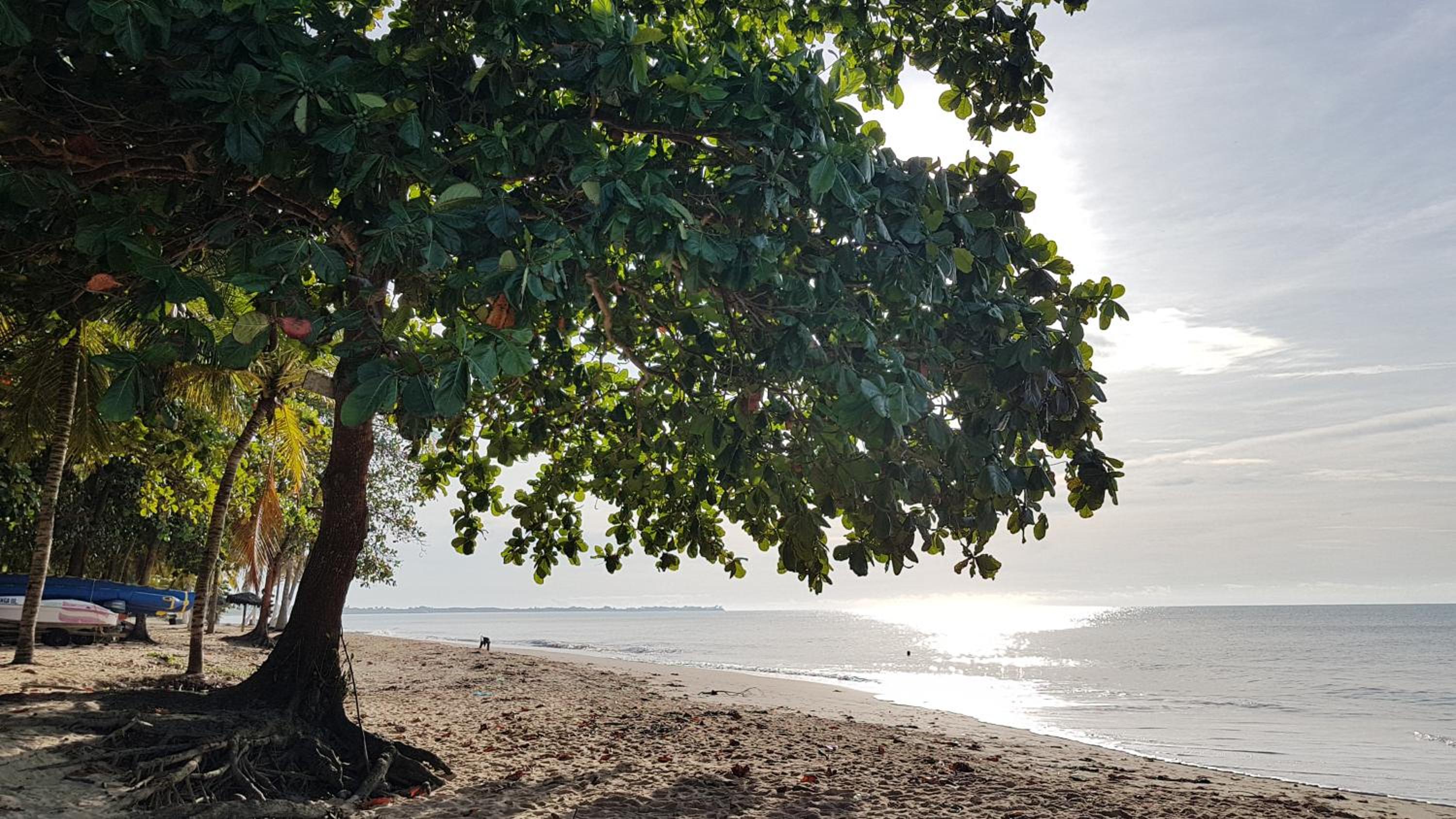 ONDAS PRAIA RESORT