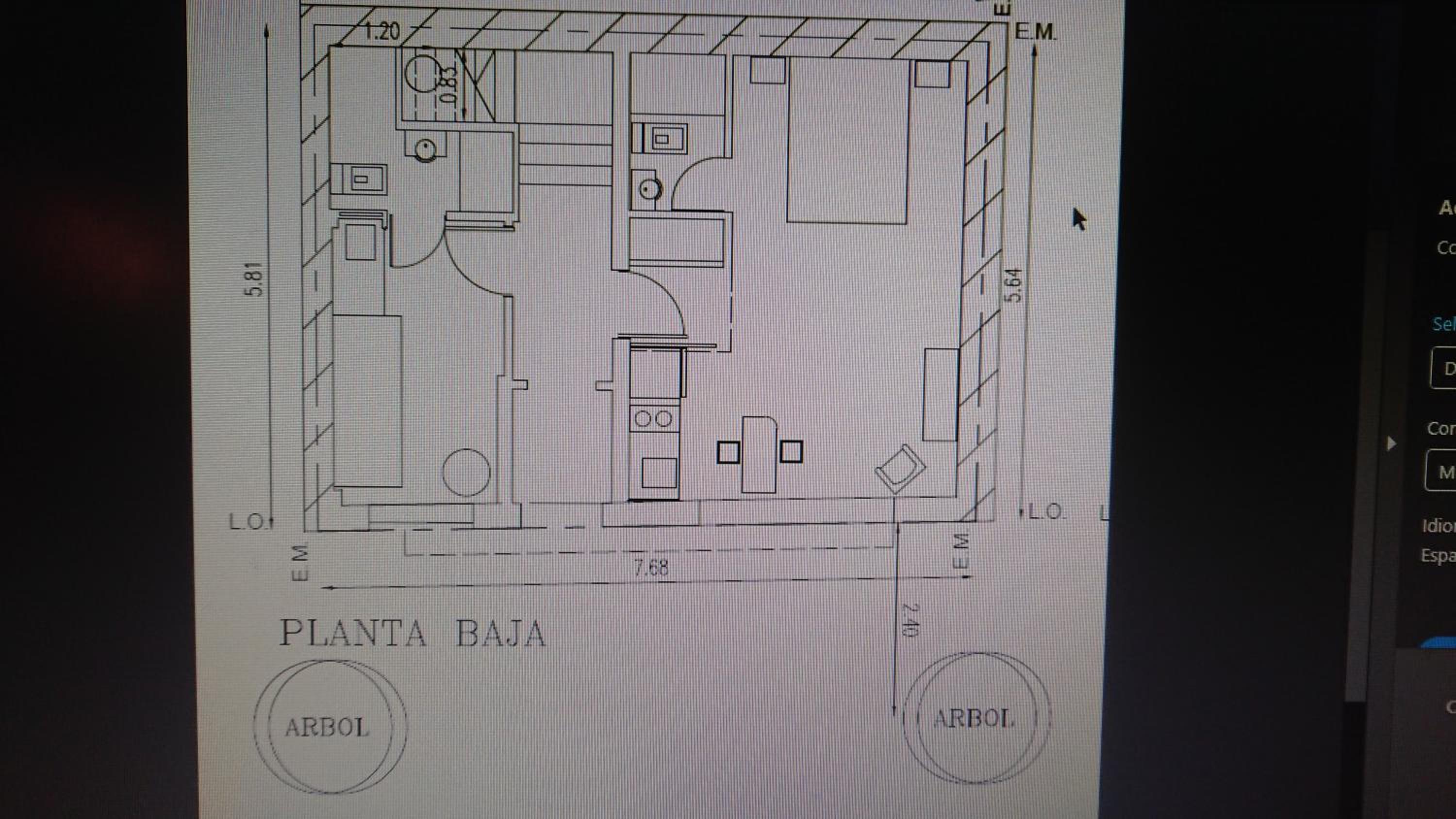 534 Petit San Telmo - Studio & Suites