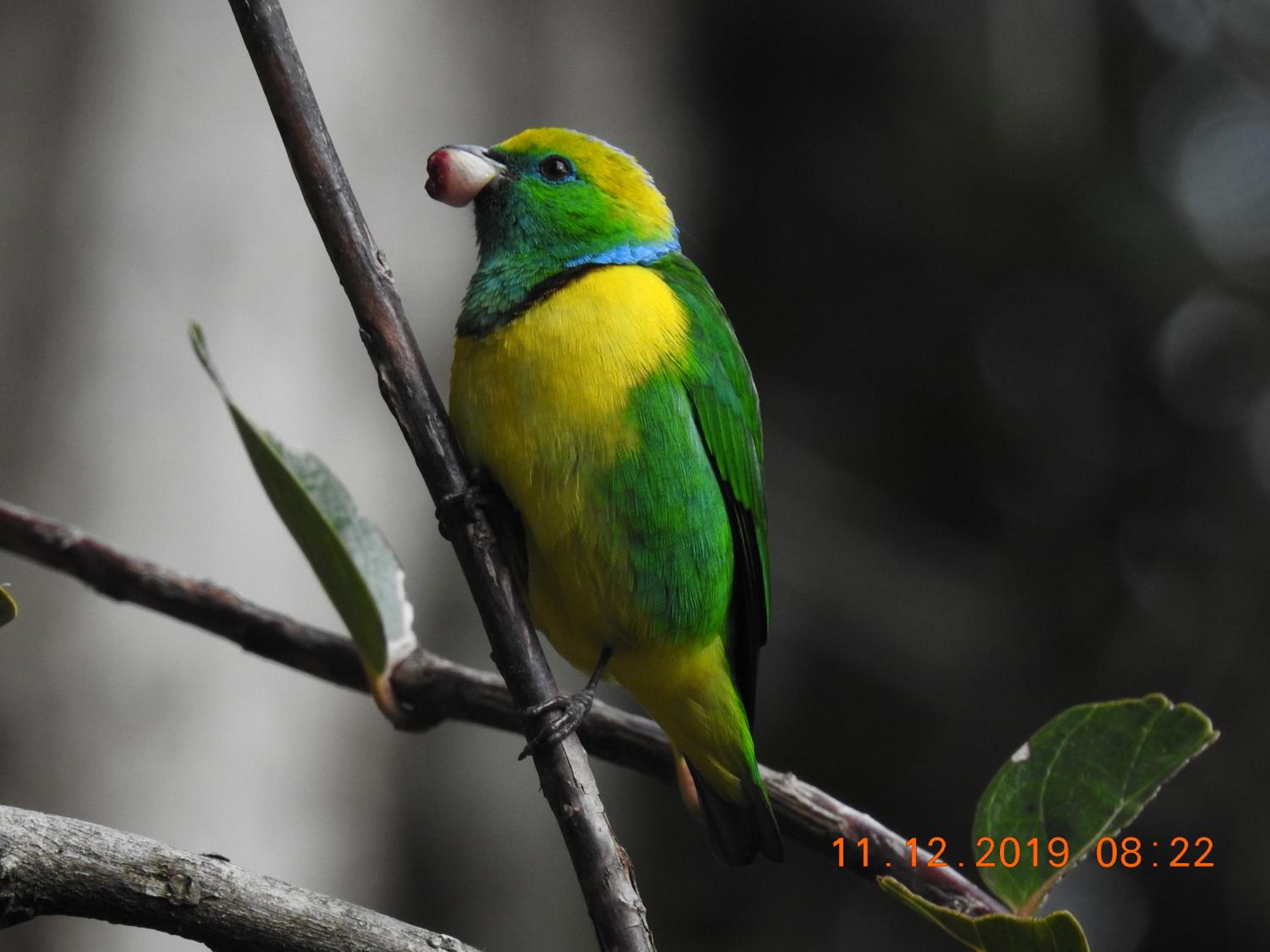Miriam'S Quetzals lodge