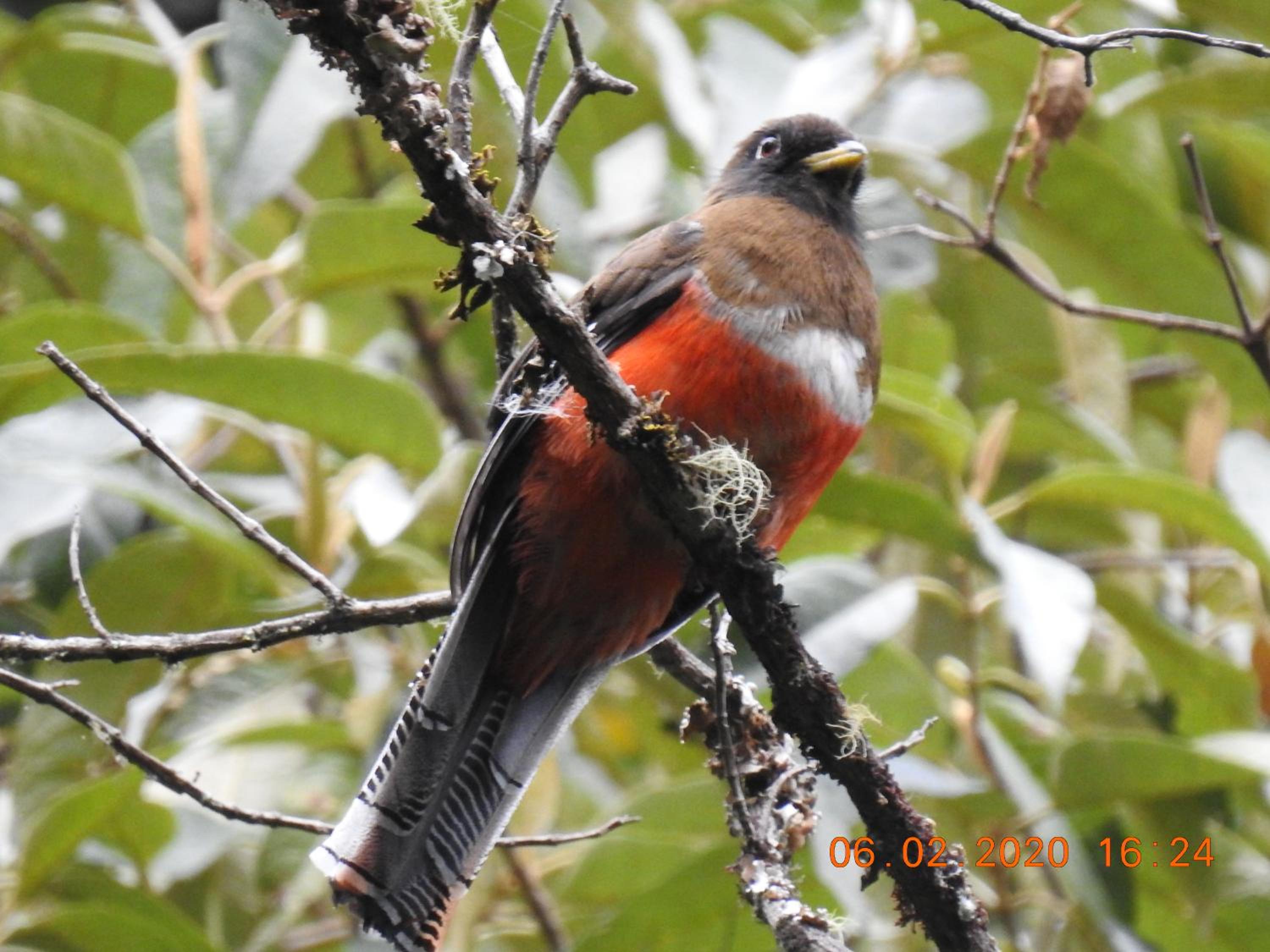 Miriam'S Quetzals lodge