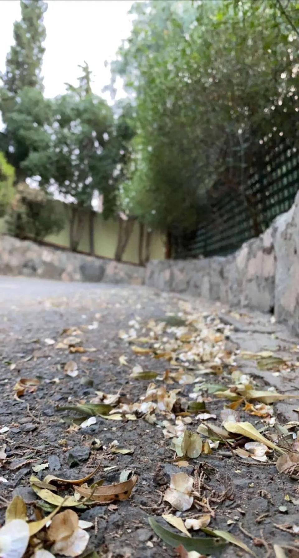 Sadeem Village & Chalet