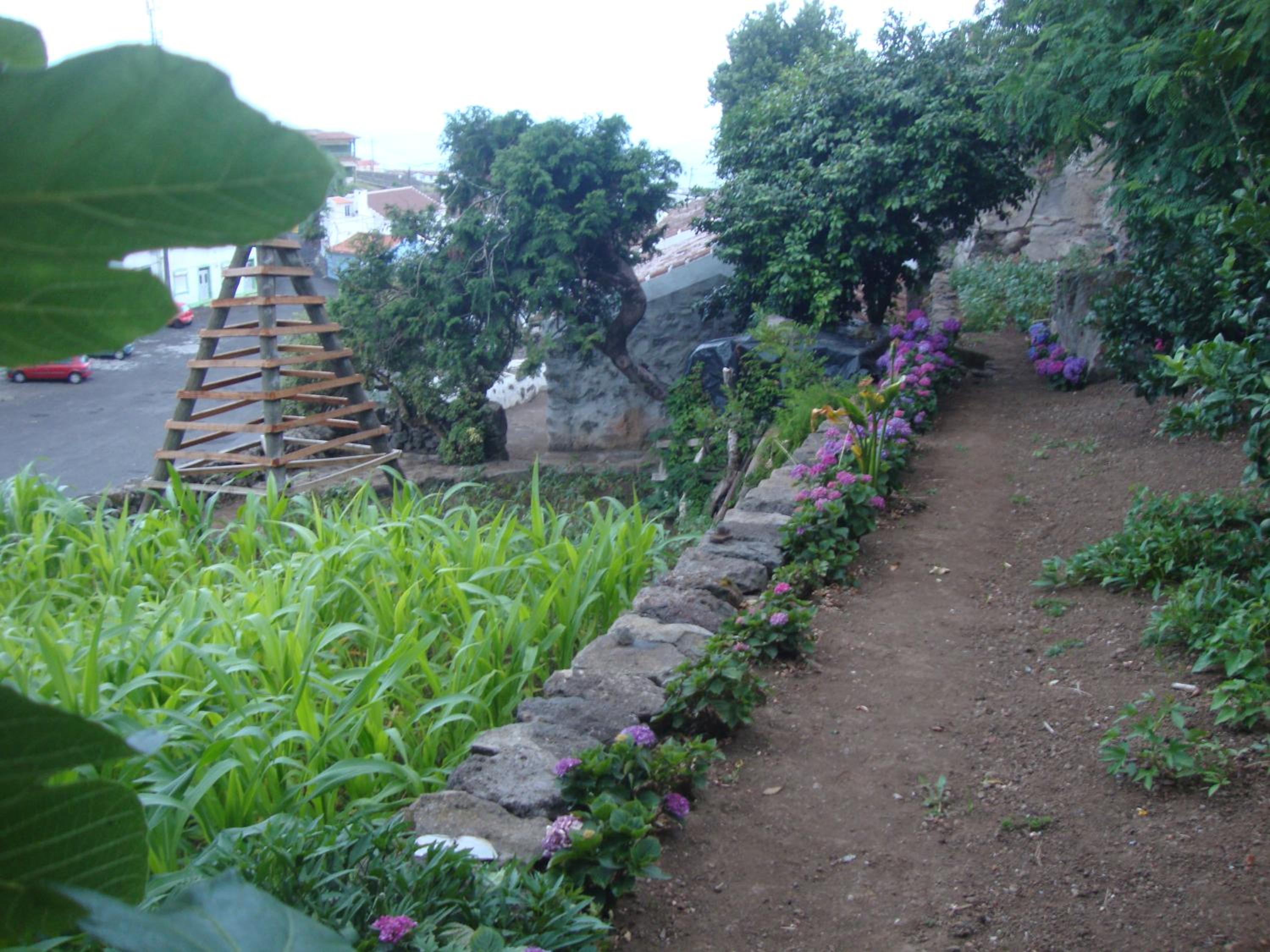 Casa da Fonte view 5