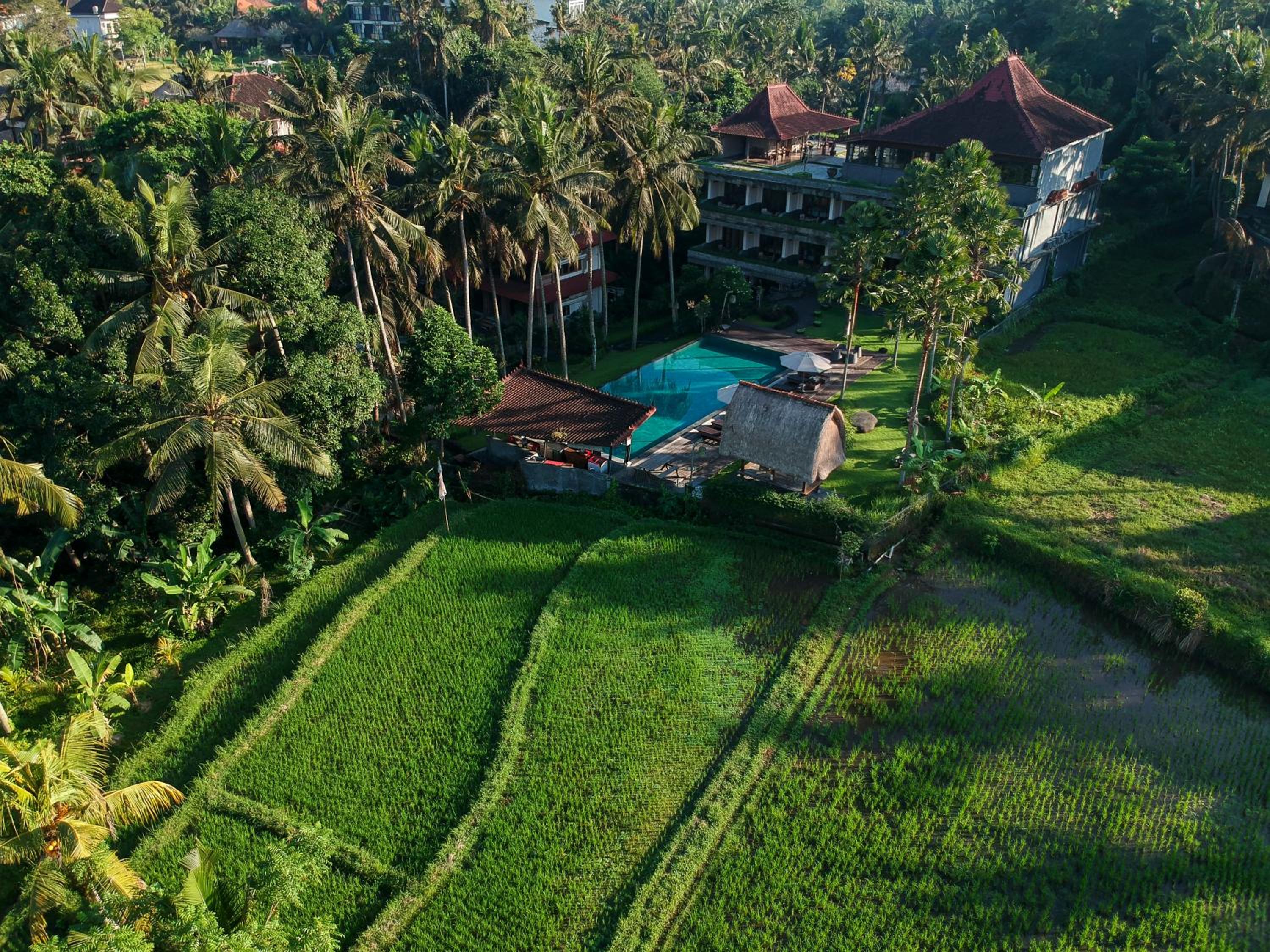 Hotel The Artini Dijiwa Ubud - Image 1