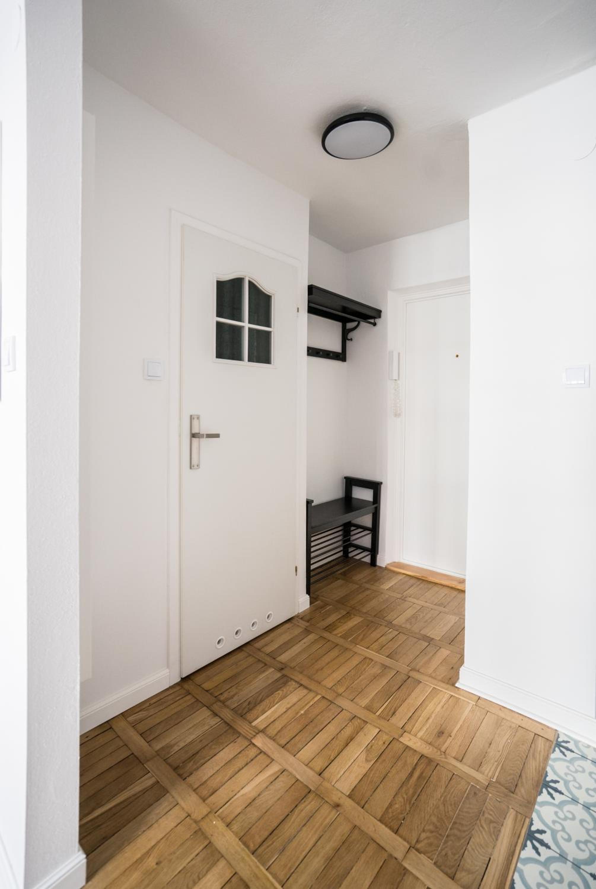 New Studio in Fancy Neighborhood view 5
