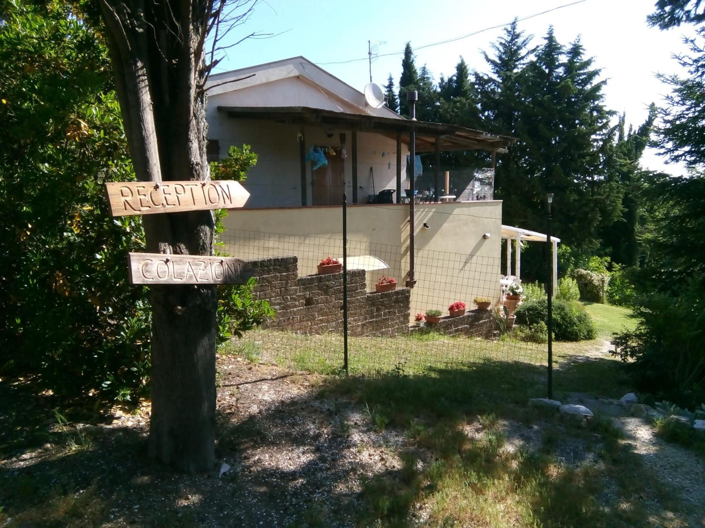 Photo 37