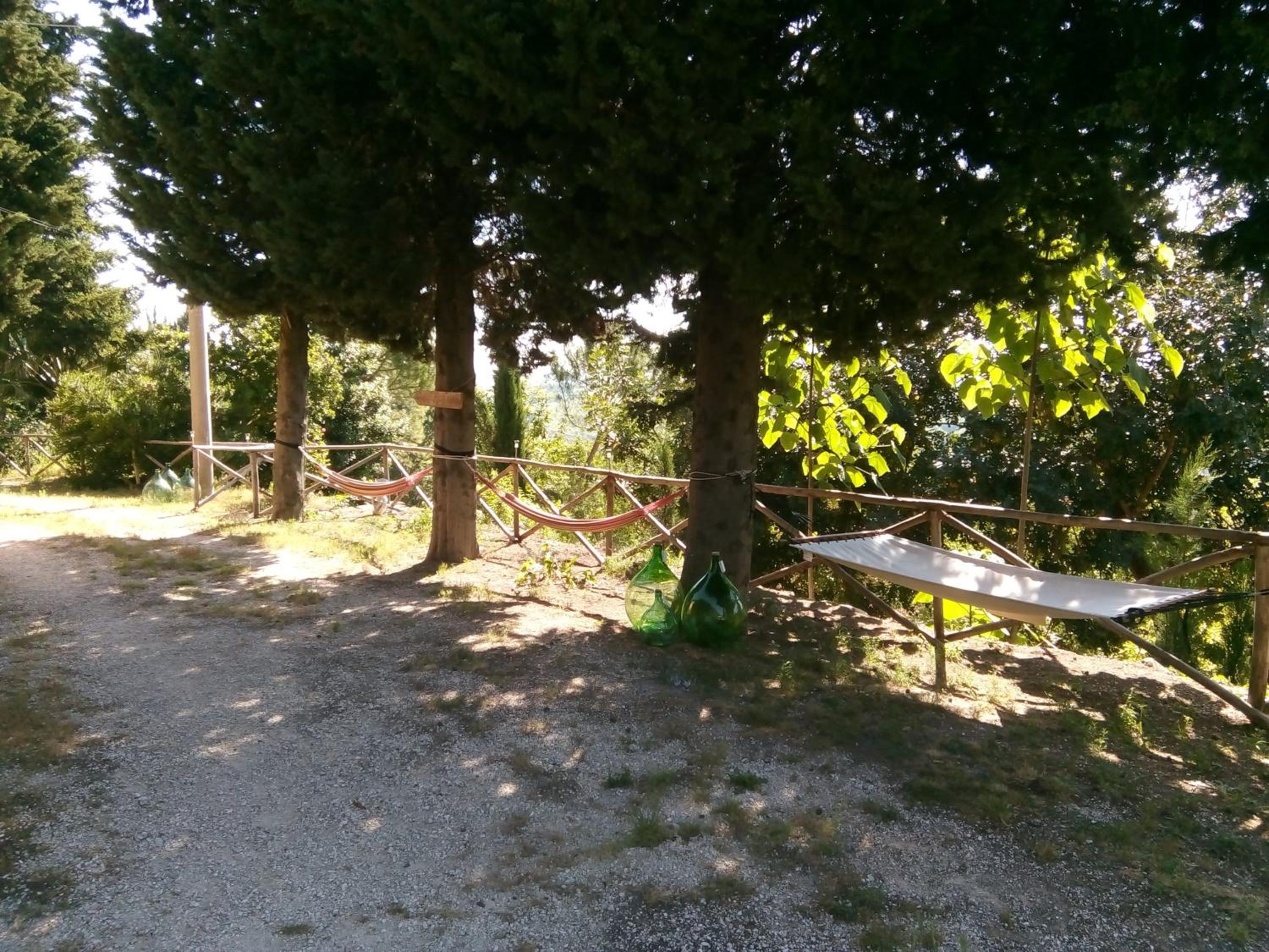 Photo 25