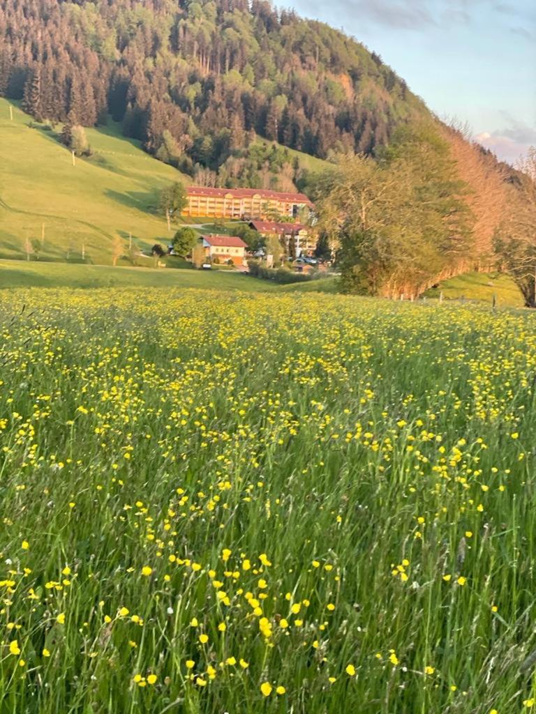 Ferienwohnung Oberallgäu Ferienpark mit Schwimmbad
