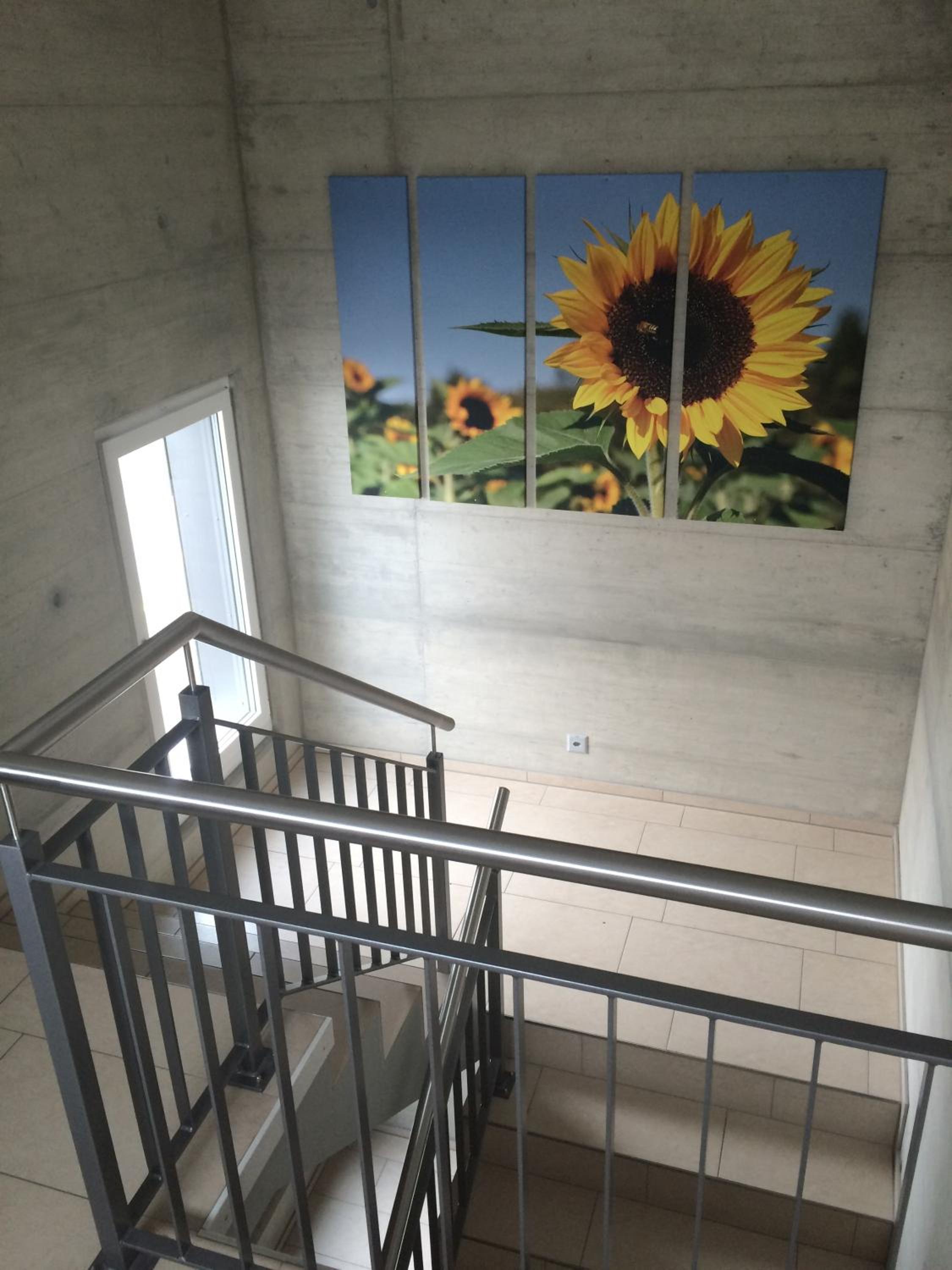 Gästehaus Sonne view 5