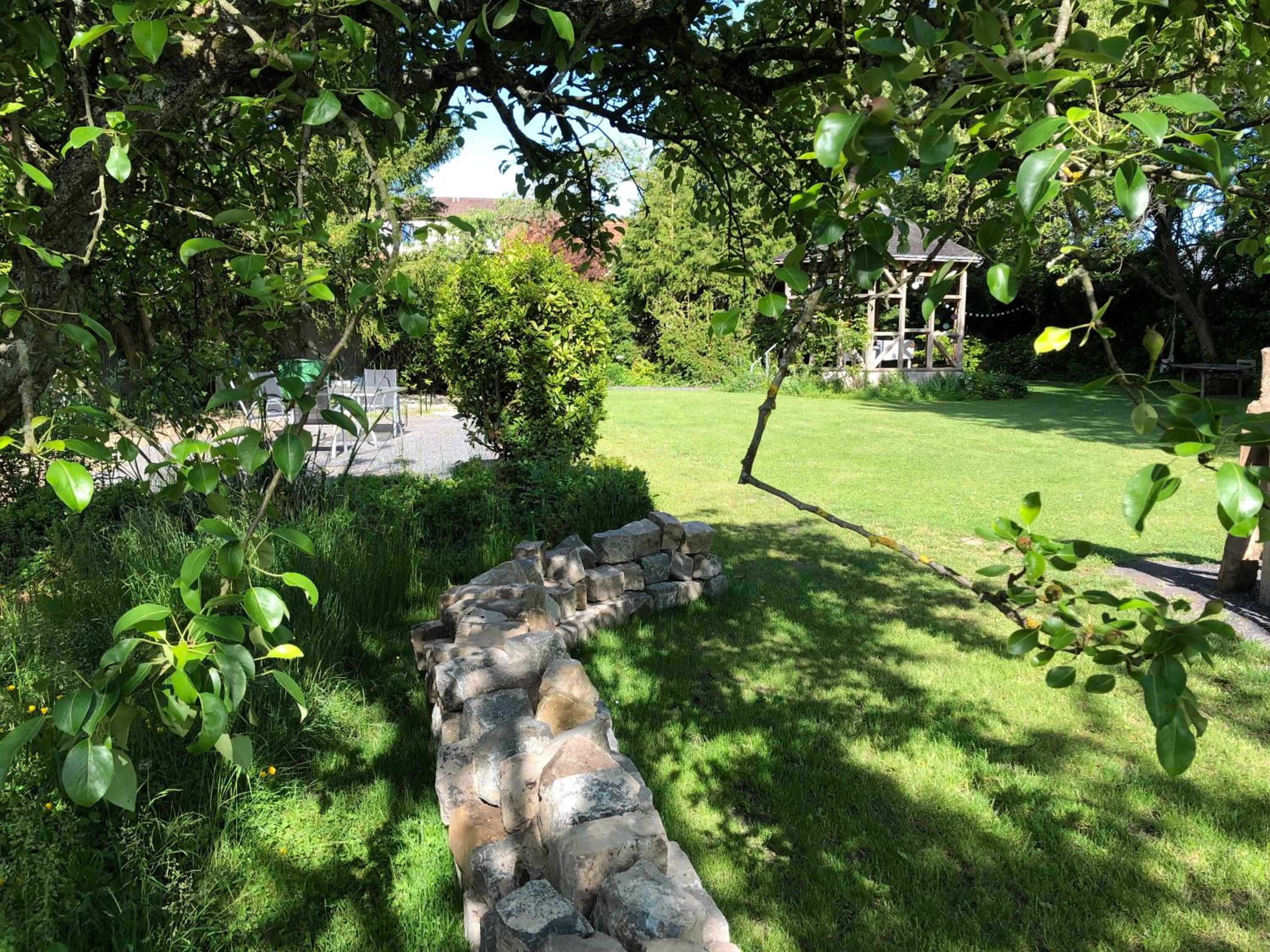 Photo 19