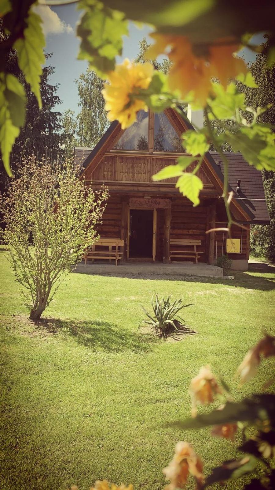 Photo 11