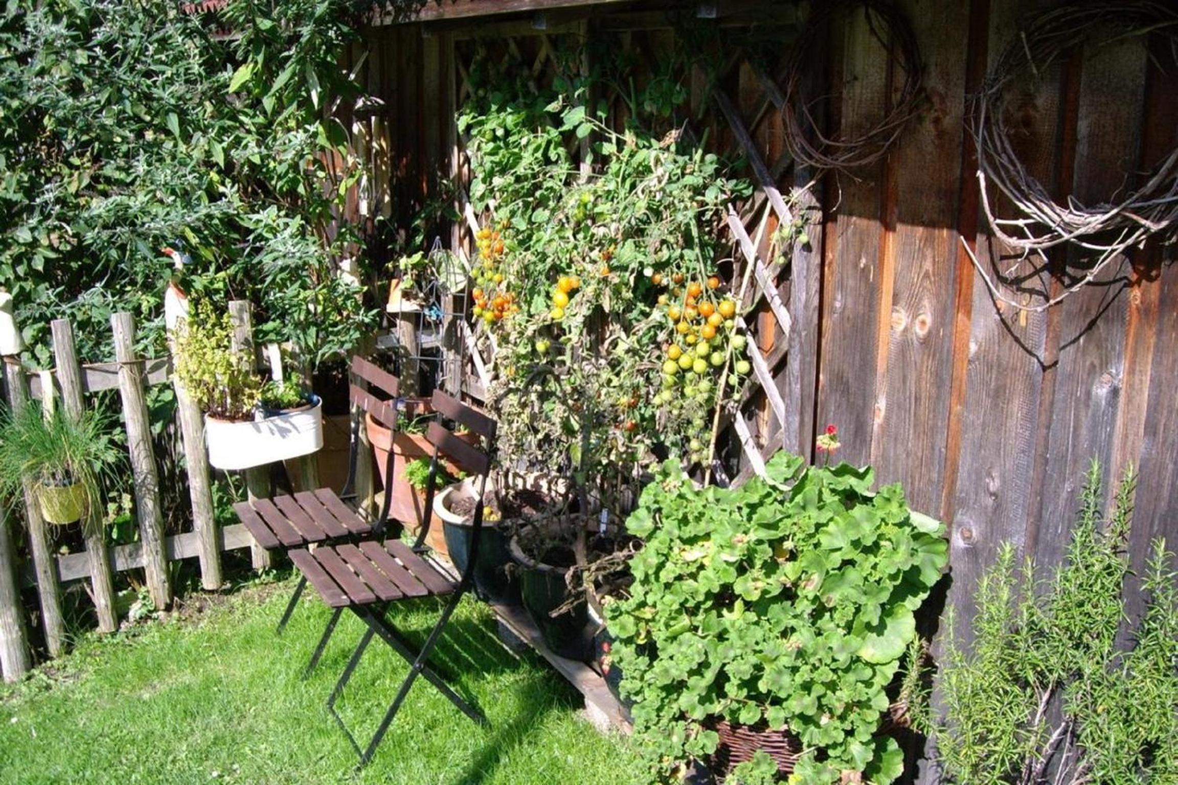 Photo 21
