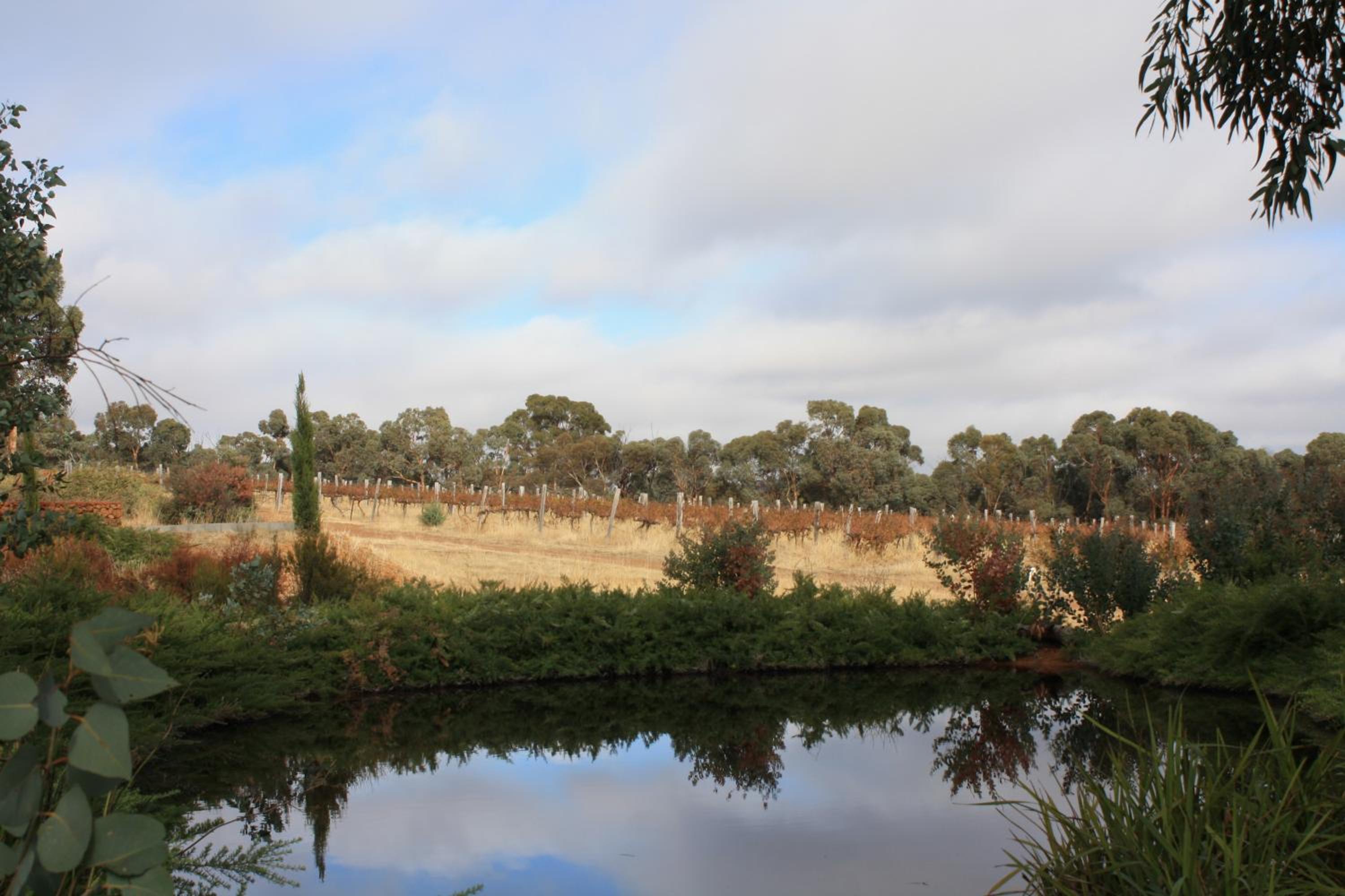 Hotham Ridge Estate
