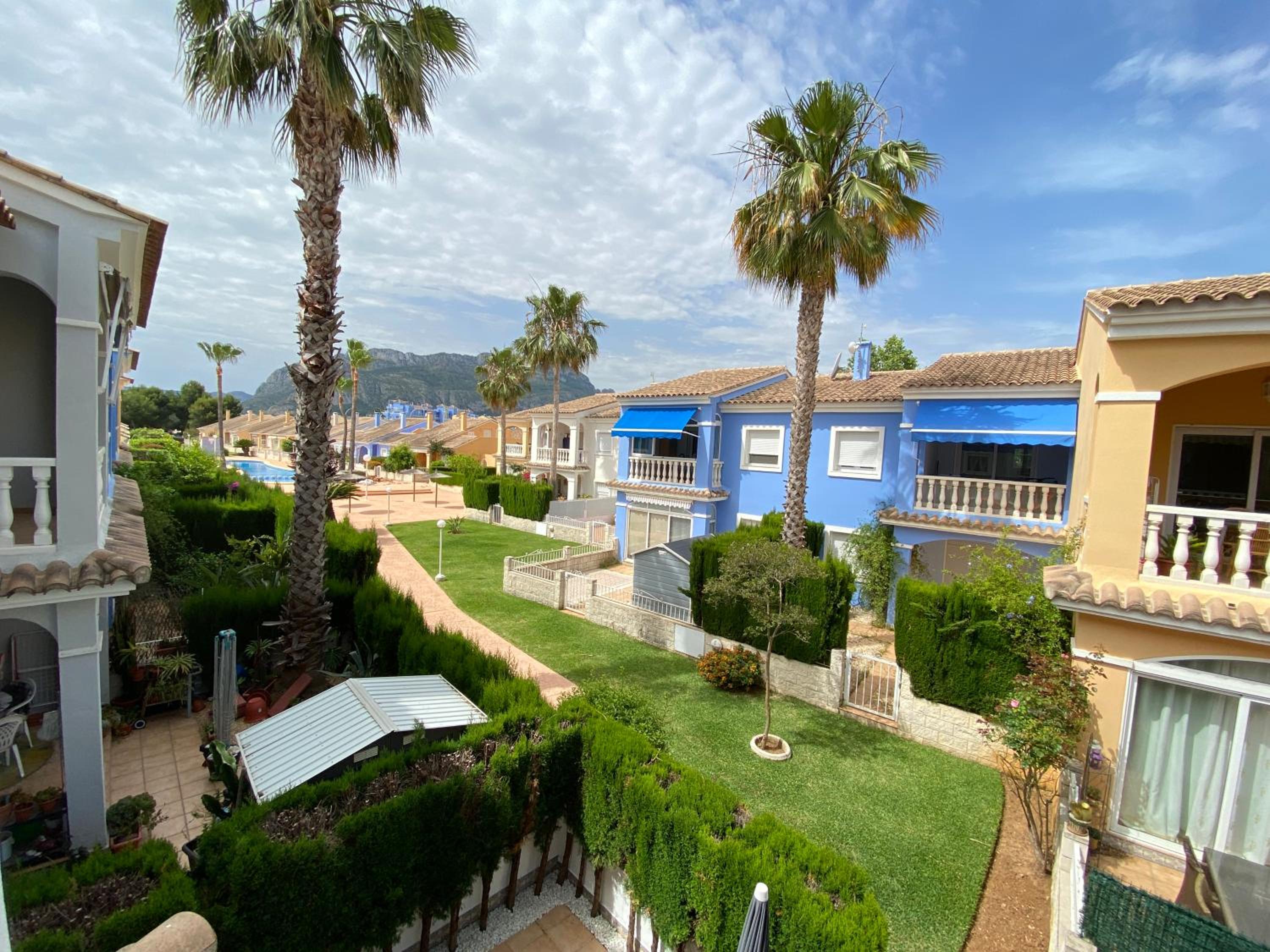Oasis Park El Conserje view 2
