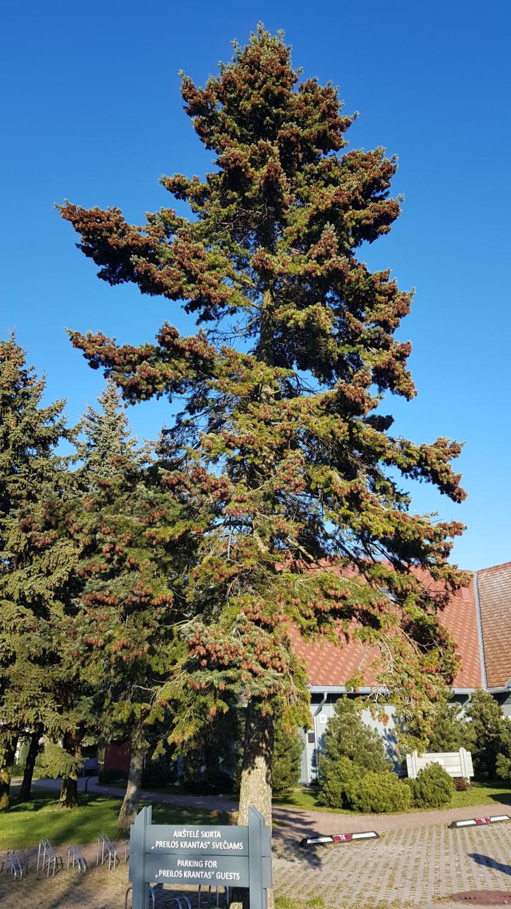 Photo 29