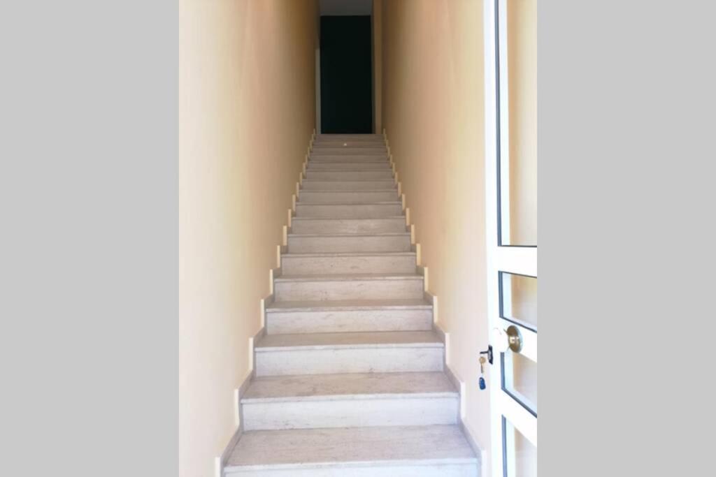 Olive house - Gargalianoi view 3