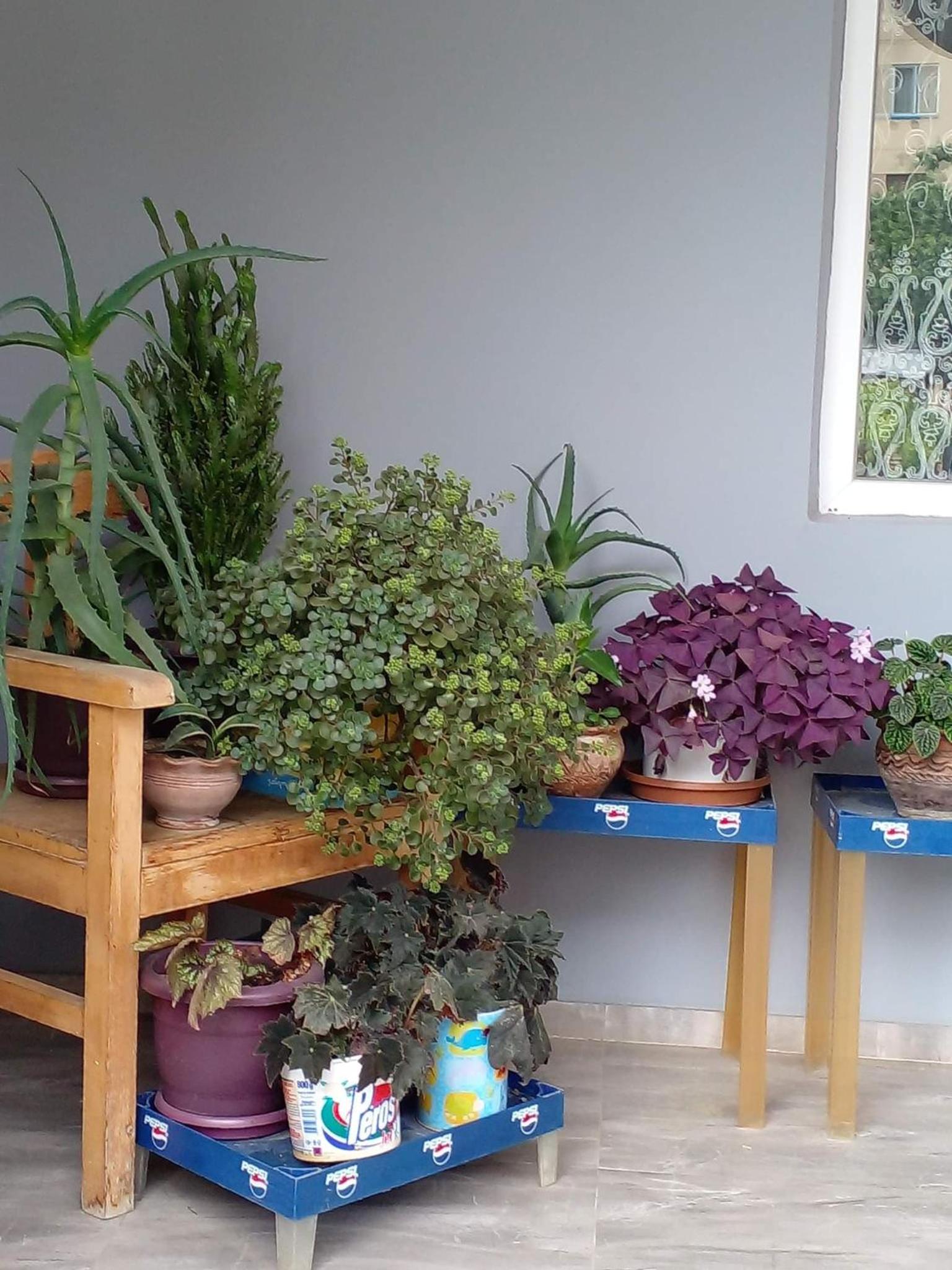Guest House Rusudan