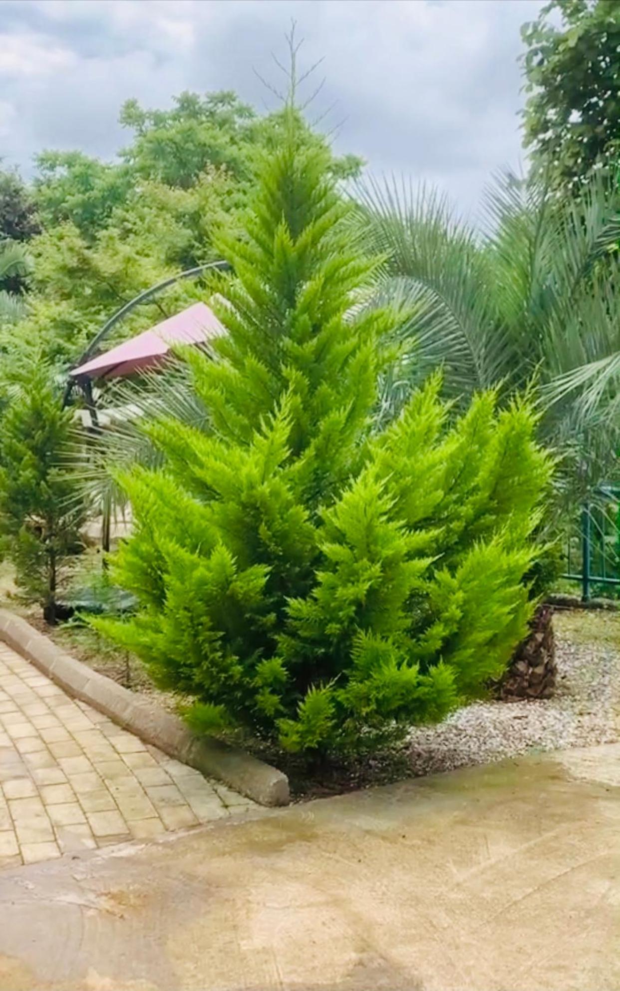 Eco House view 4