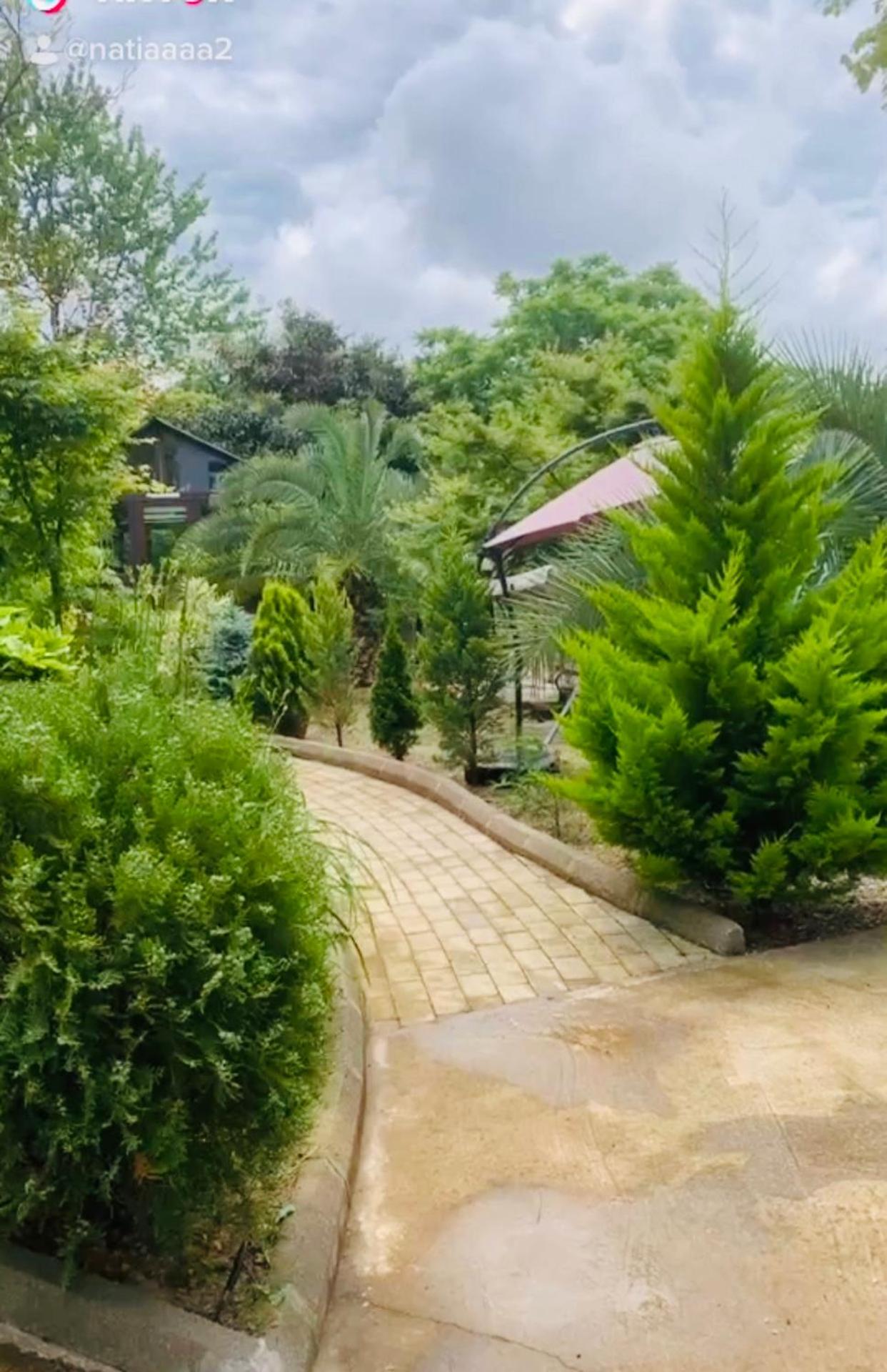 Eco House view 3