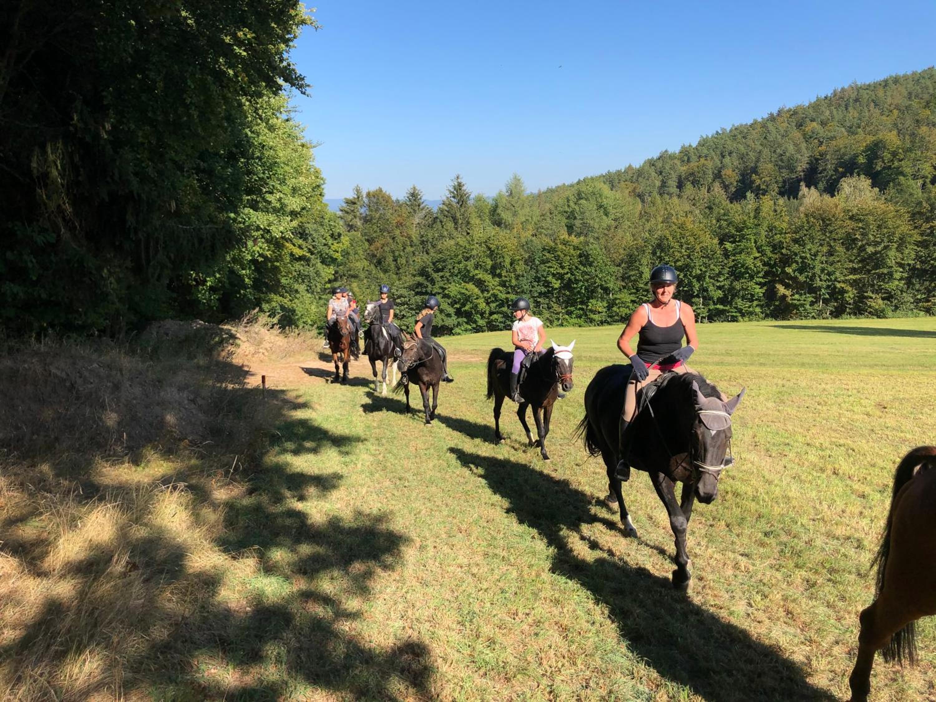 Pension & Reitschule Fuchsenhof view 2
