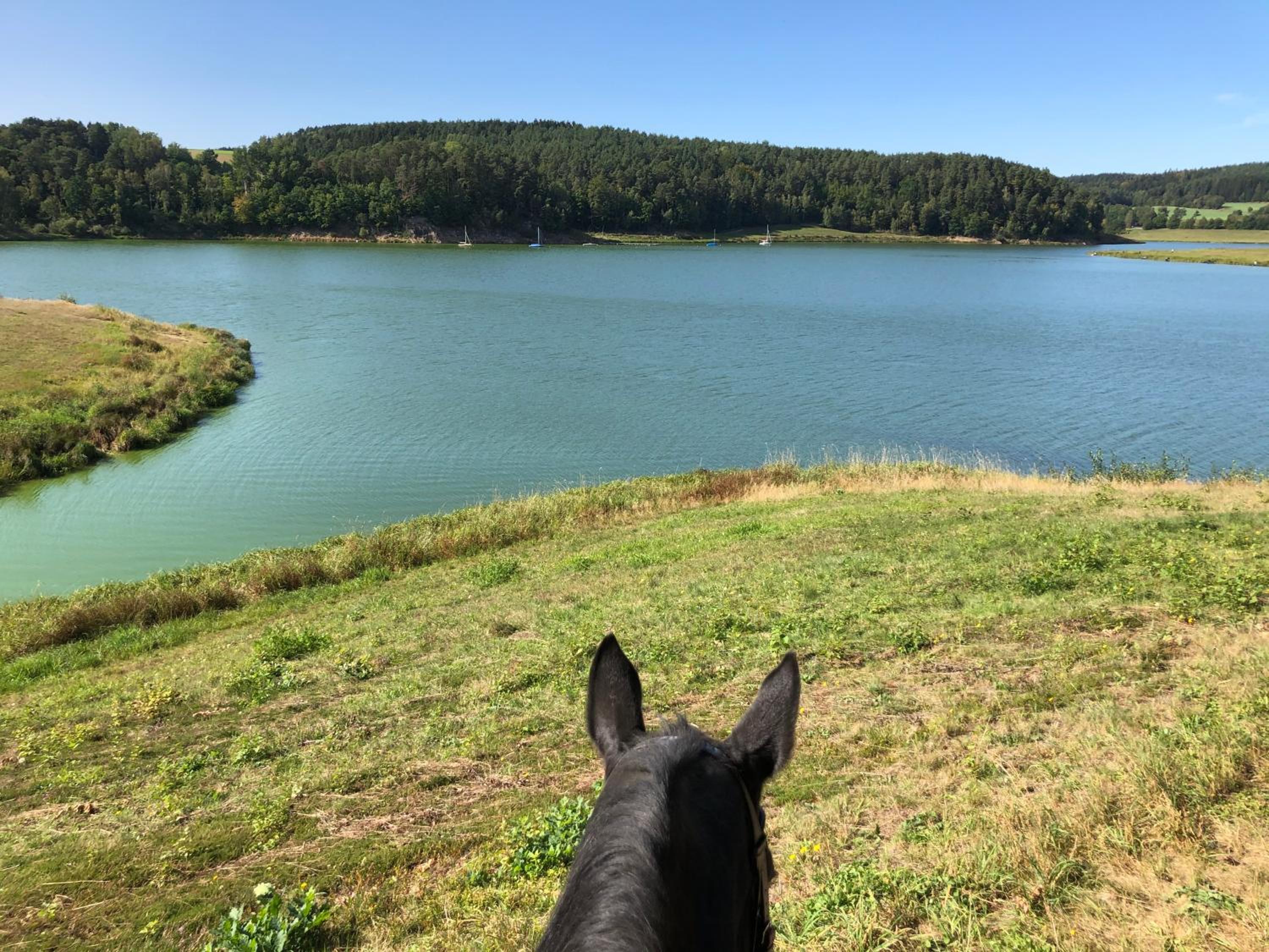 Pension & Reitschule Fuchsenhof view 3