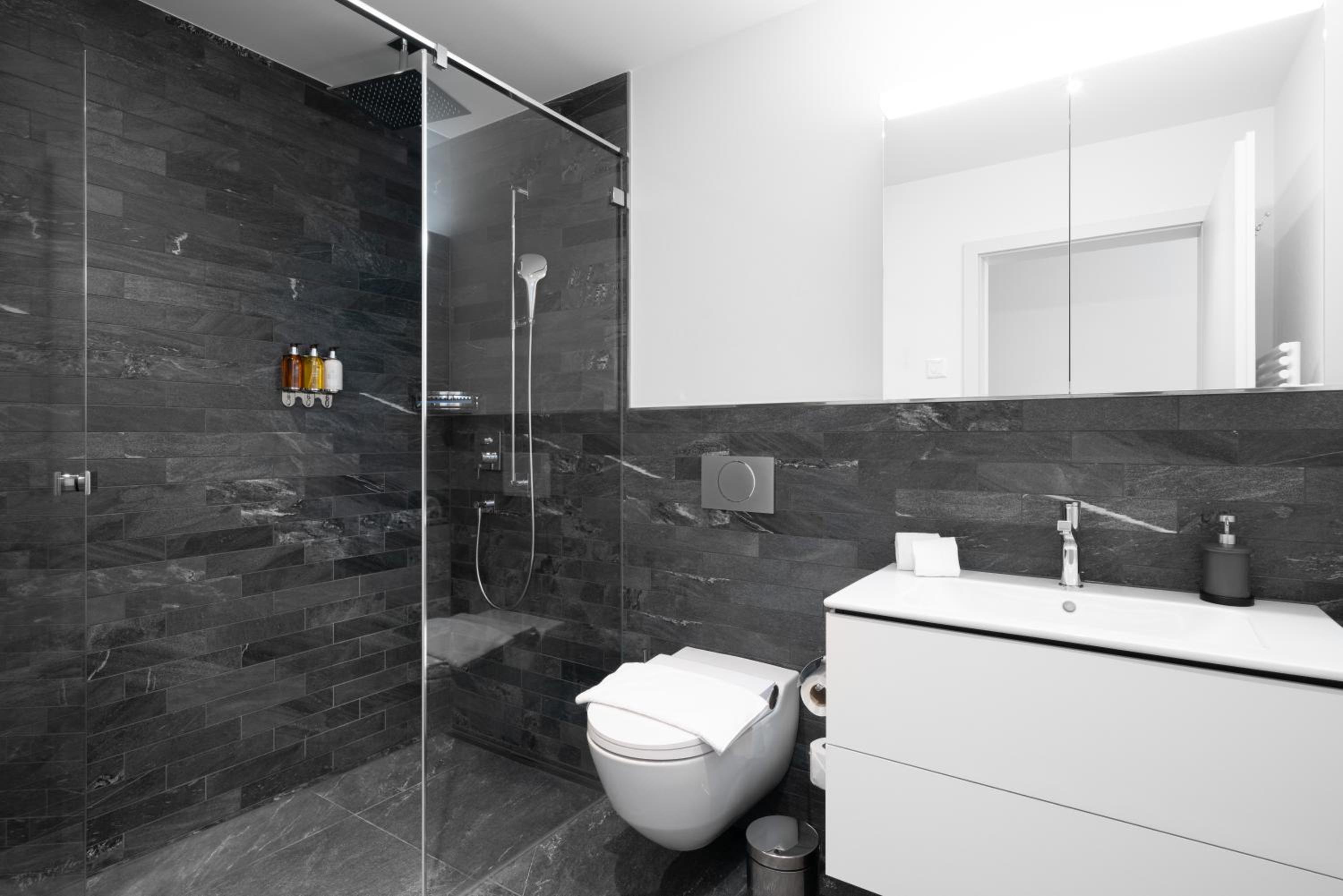 Swiss Hotel Apartments - Interlaken — photo 122