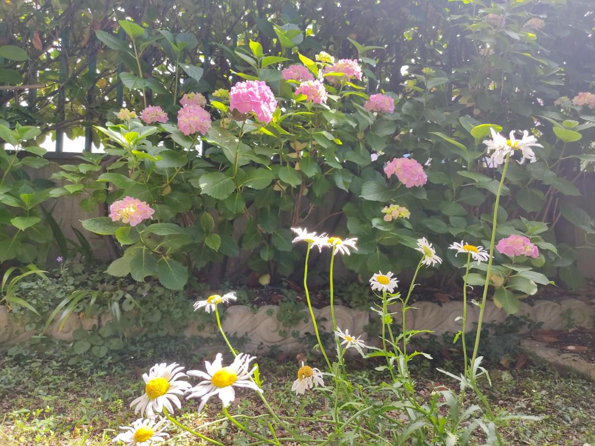 Photo 33