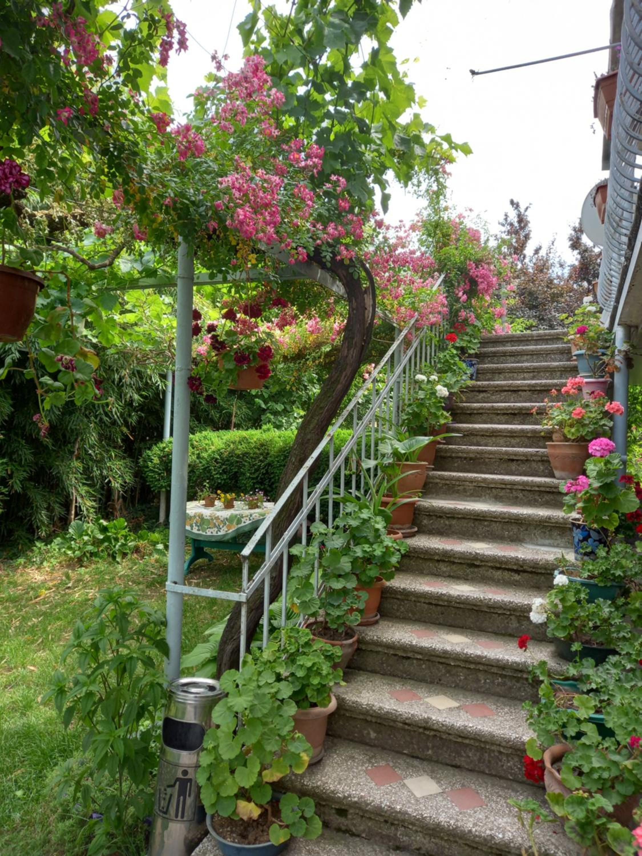 Valiko house in Telavi view 5