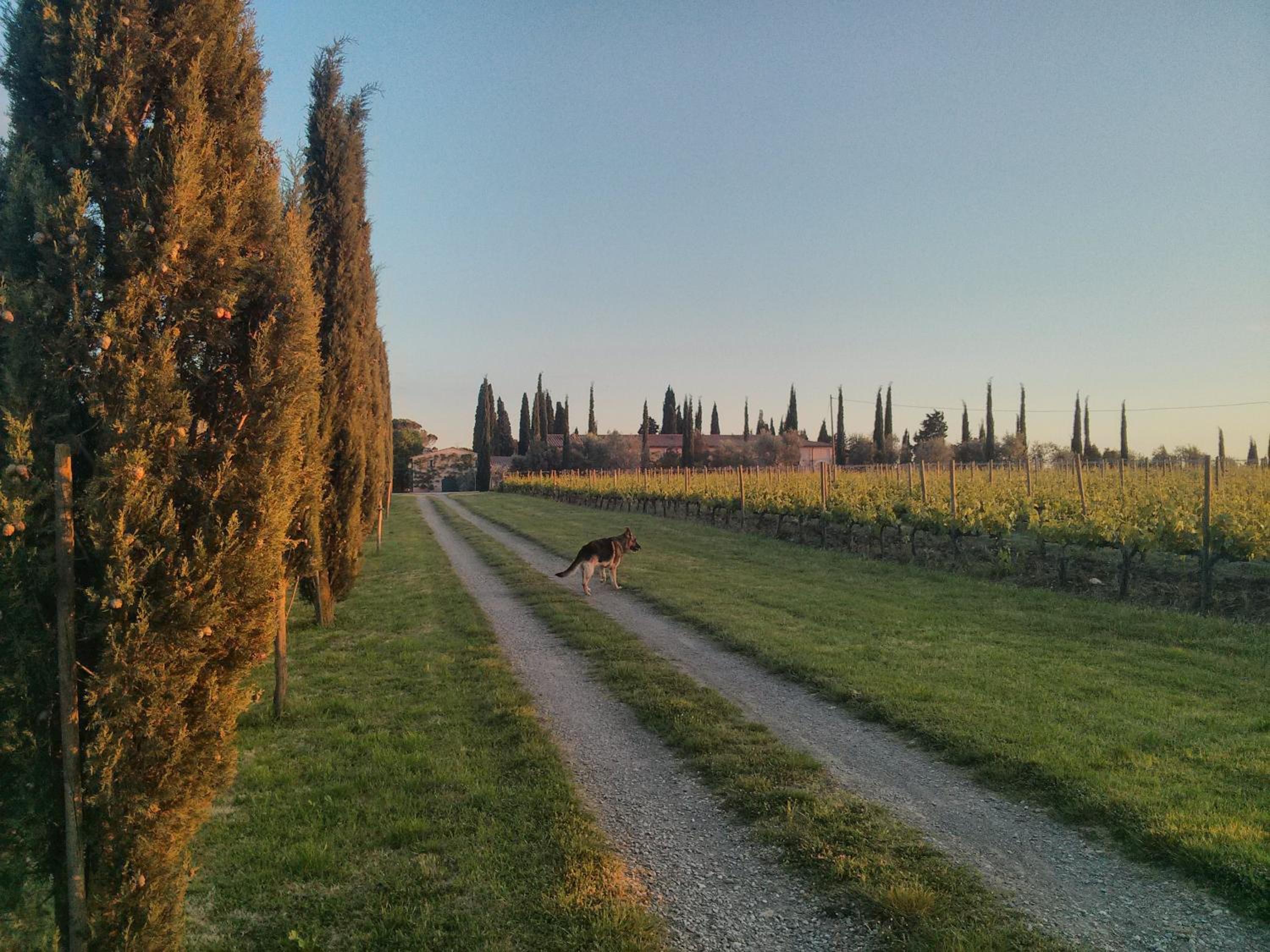 Argiano Dimore Wine Relais